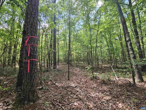 Vacant Land For Sale - 100 AC W James Anderson Hwy<br/> GLADSTONE, VA 24553
