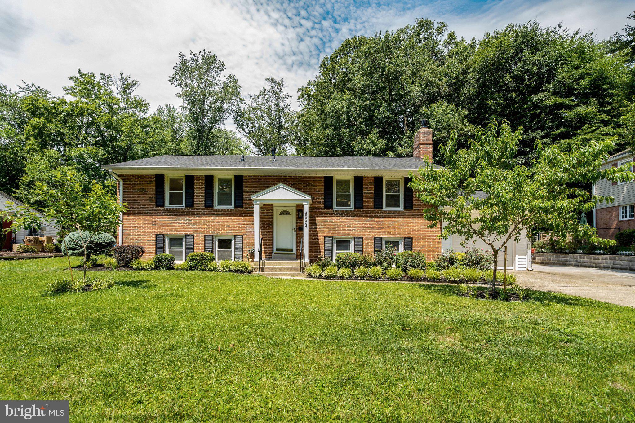 4604 WILLET
