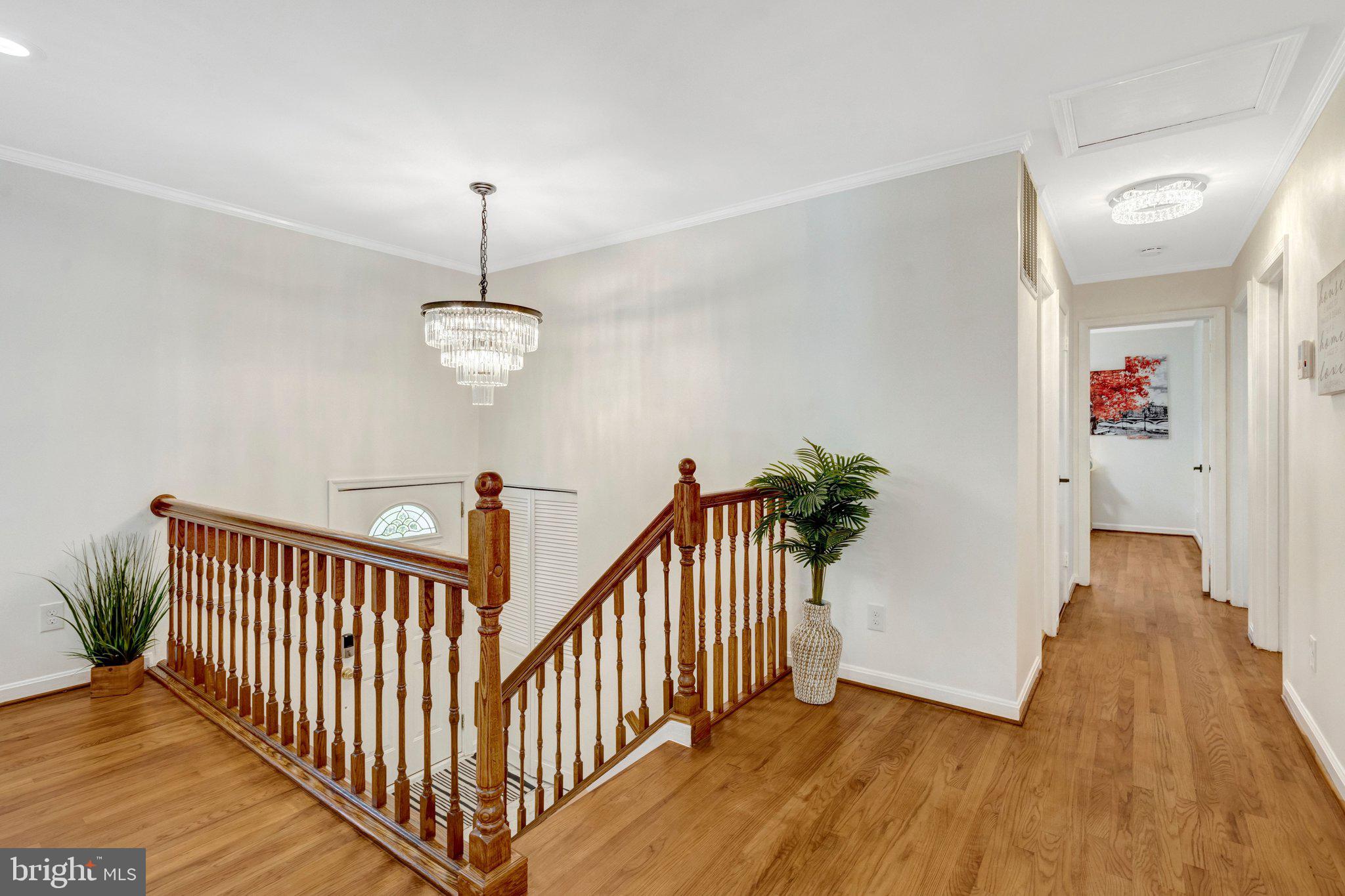 4604 WILLET