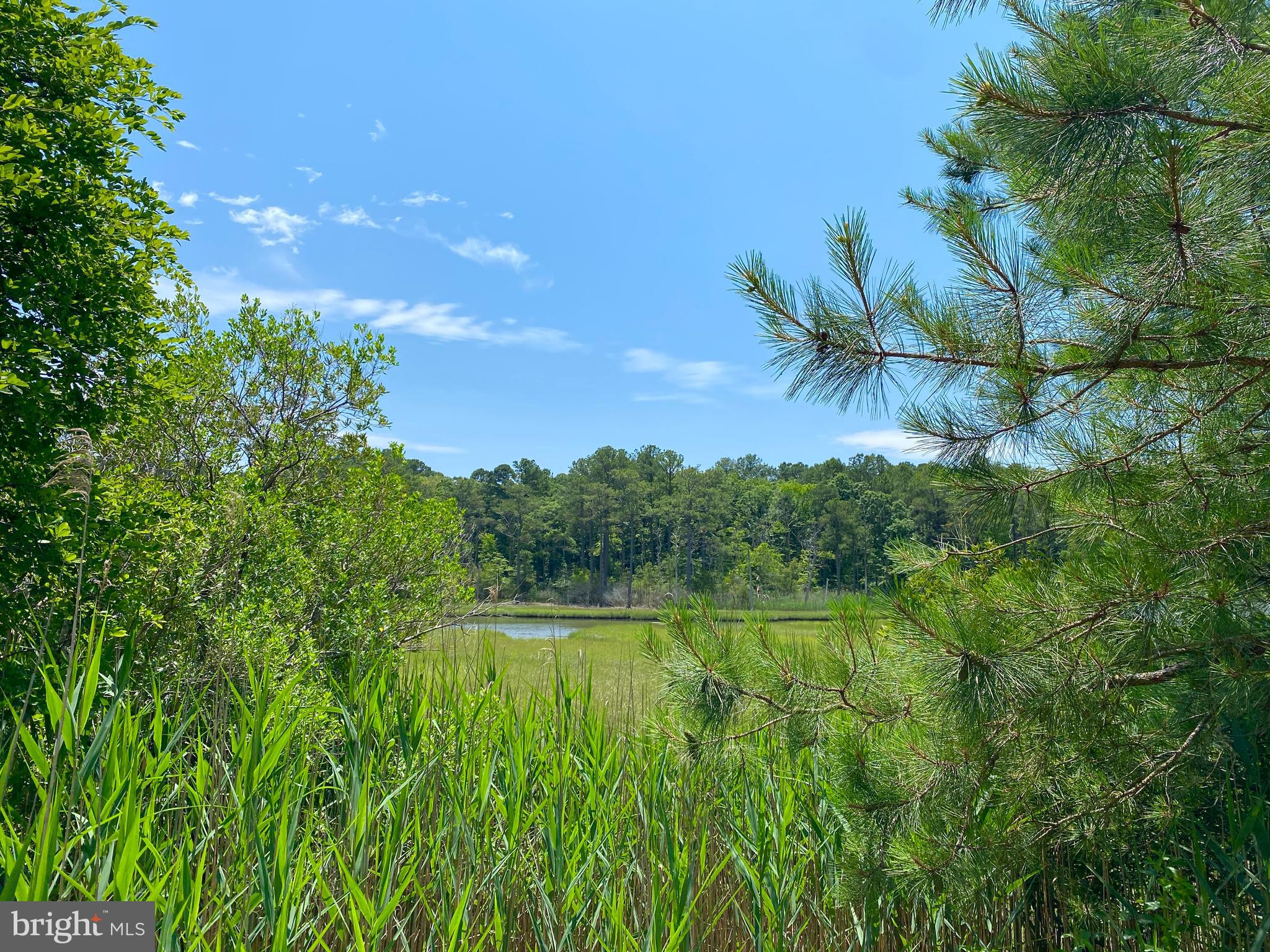 Build your dream home on one of Worcester County's most scenic waterways in South Ocean Pines. This waterview parcel located on a cul-de-sac, overlooks beautiful Manklin Creek and is abundant with wildlife in a natural setting. There is a "Visual Easement" over an out parcel located between the lot and a branch off of the creek. No structure or improvement of any kind may be constructed in that area as outlined in the Ocean Pines Declaration of Restrictions for Salt Grass Cove. The intent is to preserve the natural setting and the view for neighboring properties. As of January 14th 2025 , Worcester County P&Z has approved a variance to encroach into the nontidal buffer, which would expand the building envelope and a buffer permit has been applied for from MDE. This is one of the last undeveloped lots in the SGC community. Buy land, they're not making it any more! - Mark Twain.