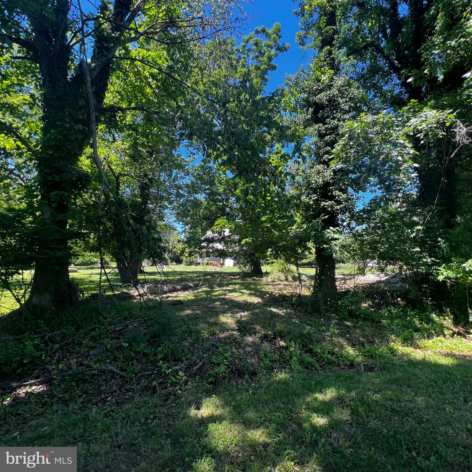 11 WOODSIDE AVENUE