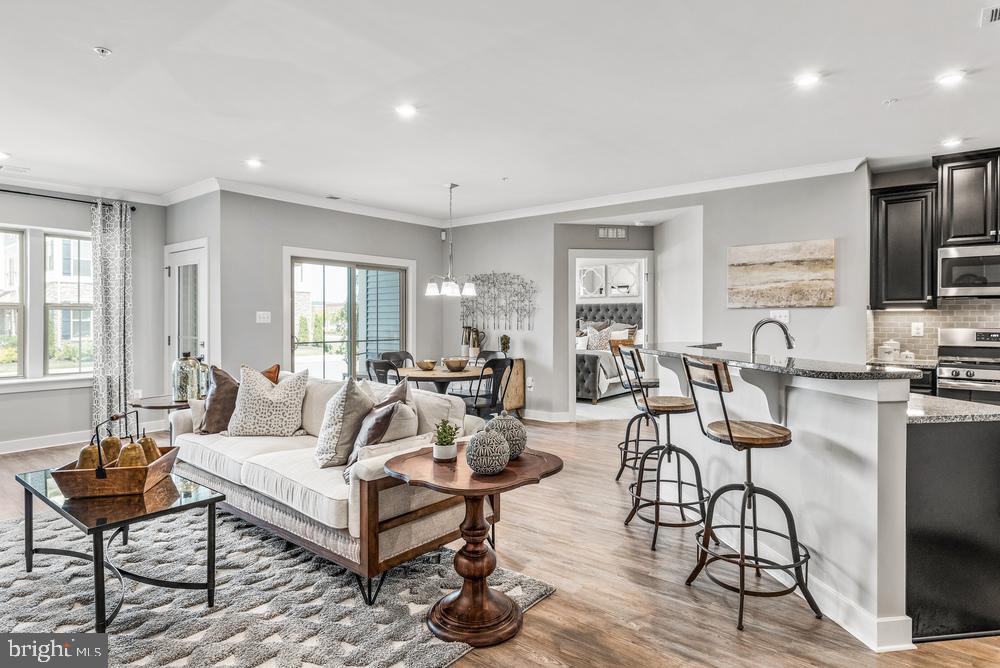 LAKE LINGANORE TOWN CENTER - Residential