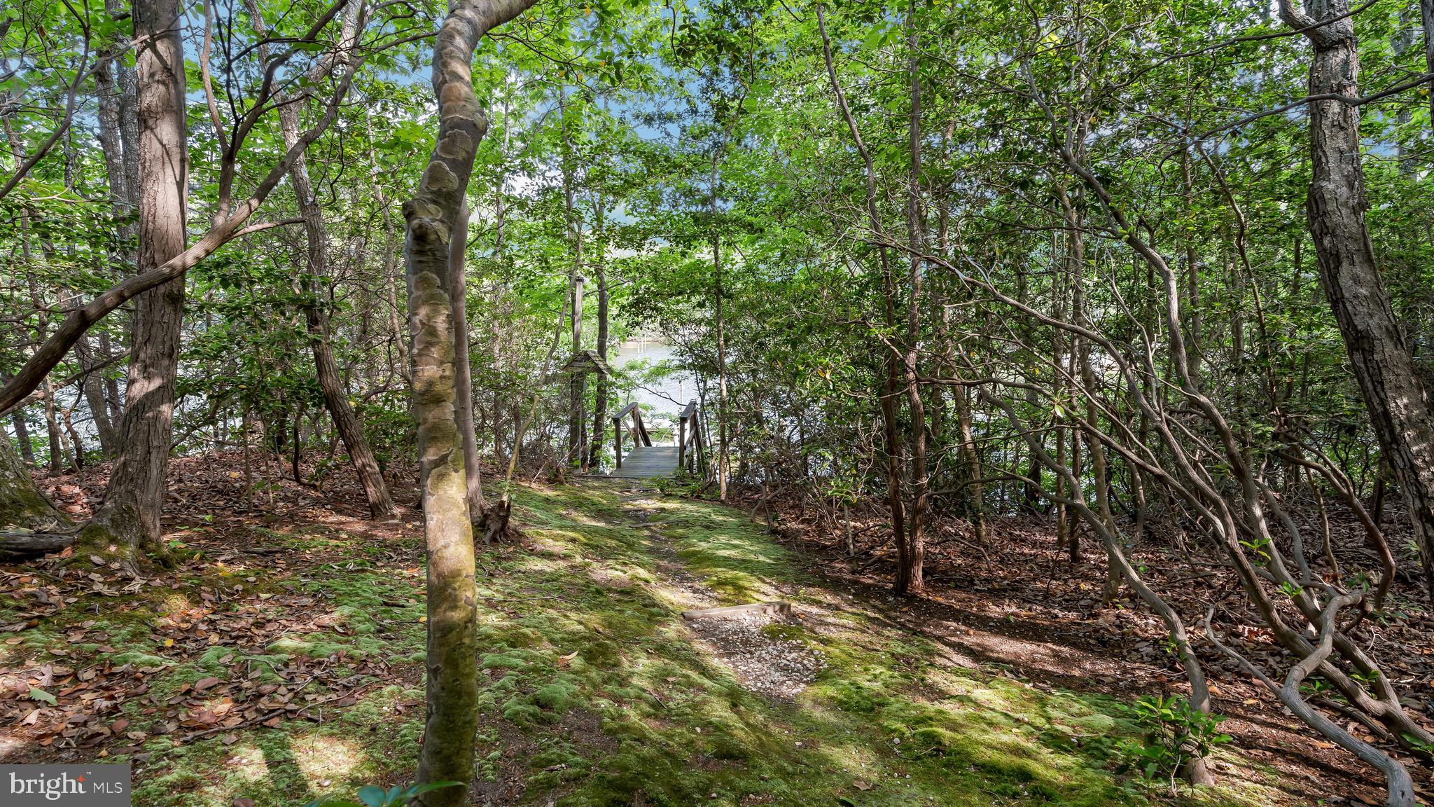 DRUM POINT - Residential