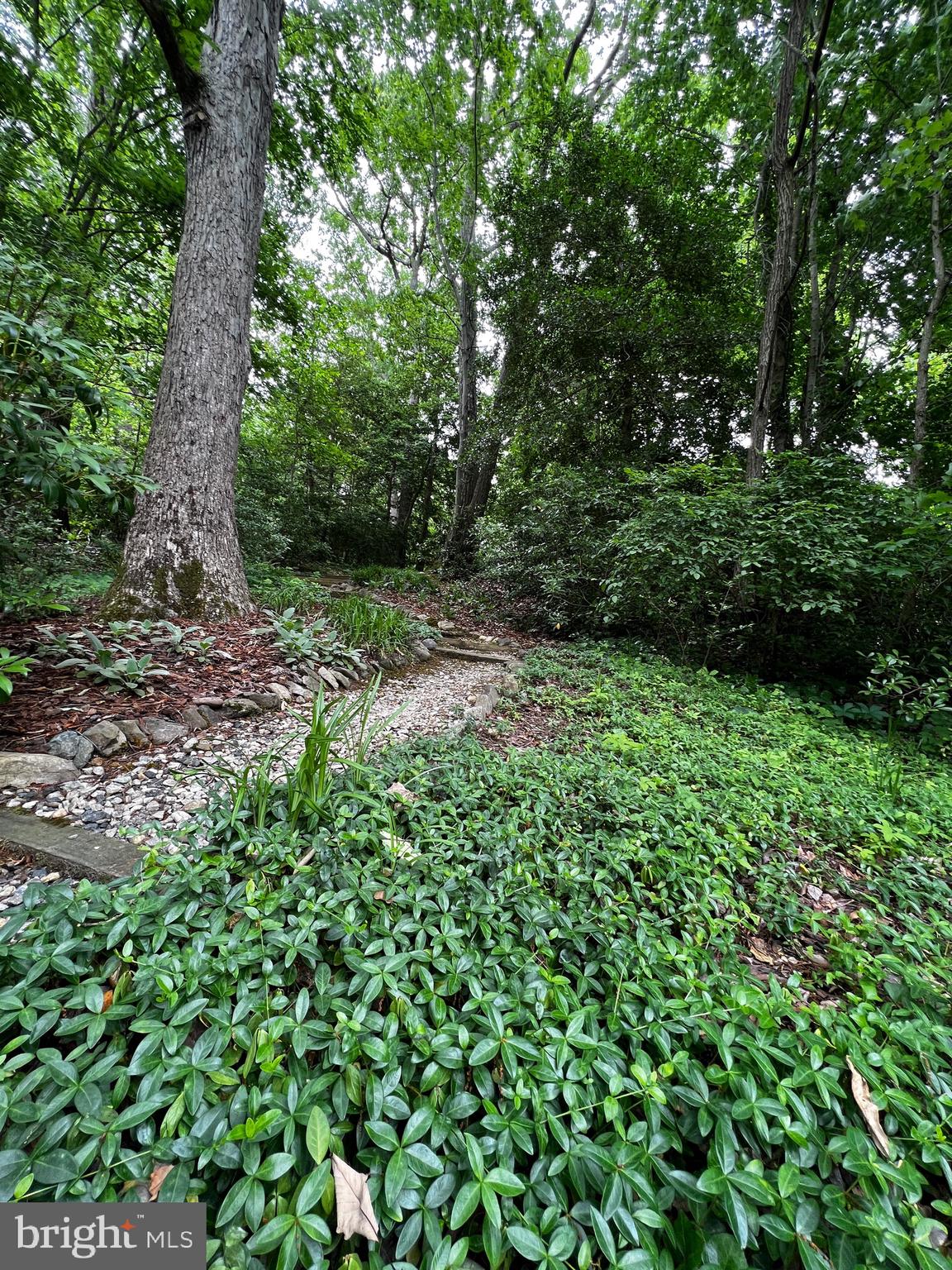 DRUM POINT - Residential