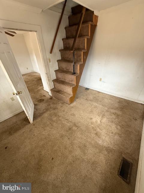 FERRY ROAD - Residential