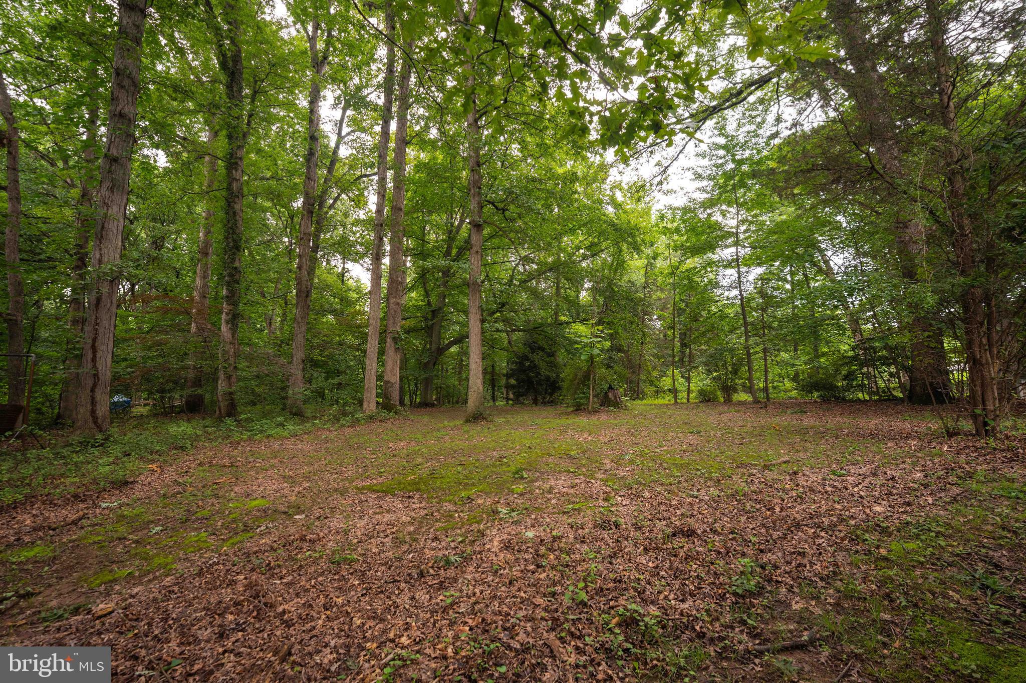 BEVANS ORCHARD - Residential