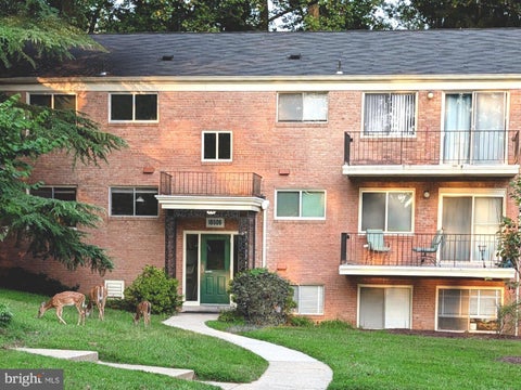 Condo For Rent - 10506 Weymouth Street #204<br/> BETHESDA, MD 20814