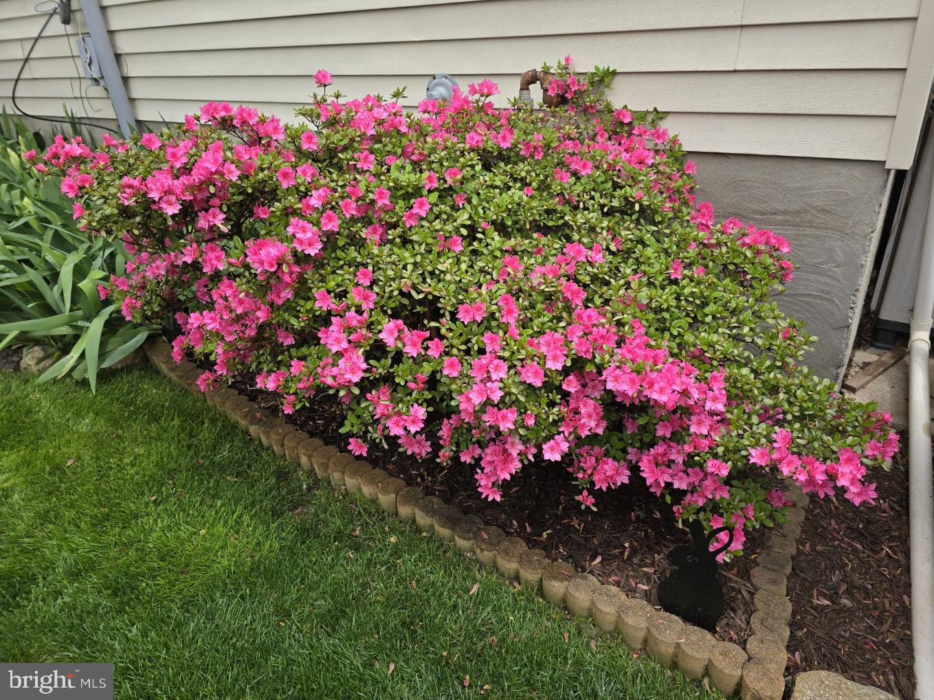 TARTAN HILL - Residential