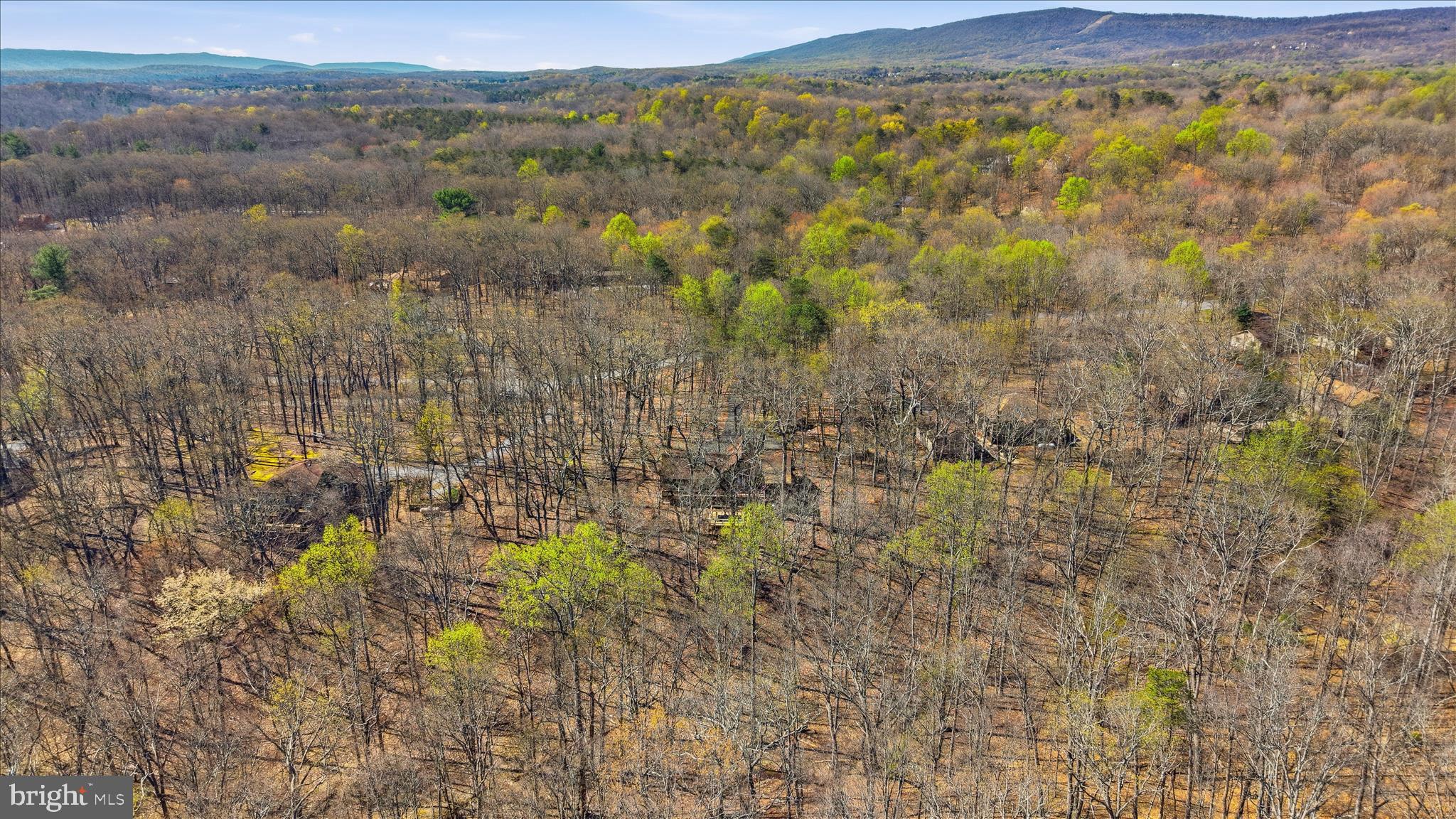 WALDEN WOODS - Residential