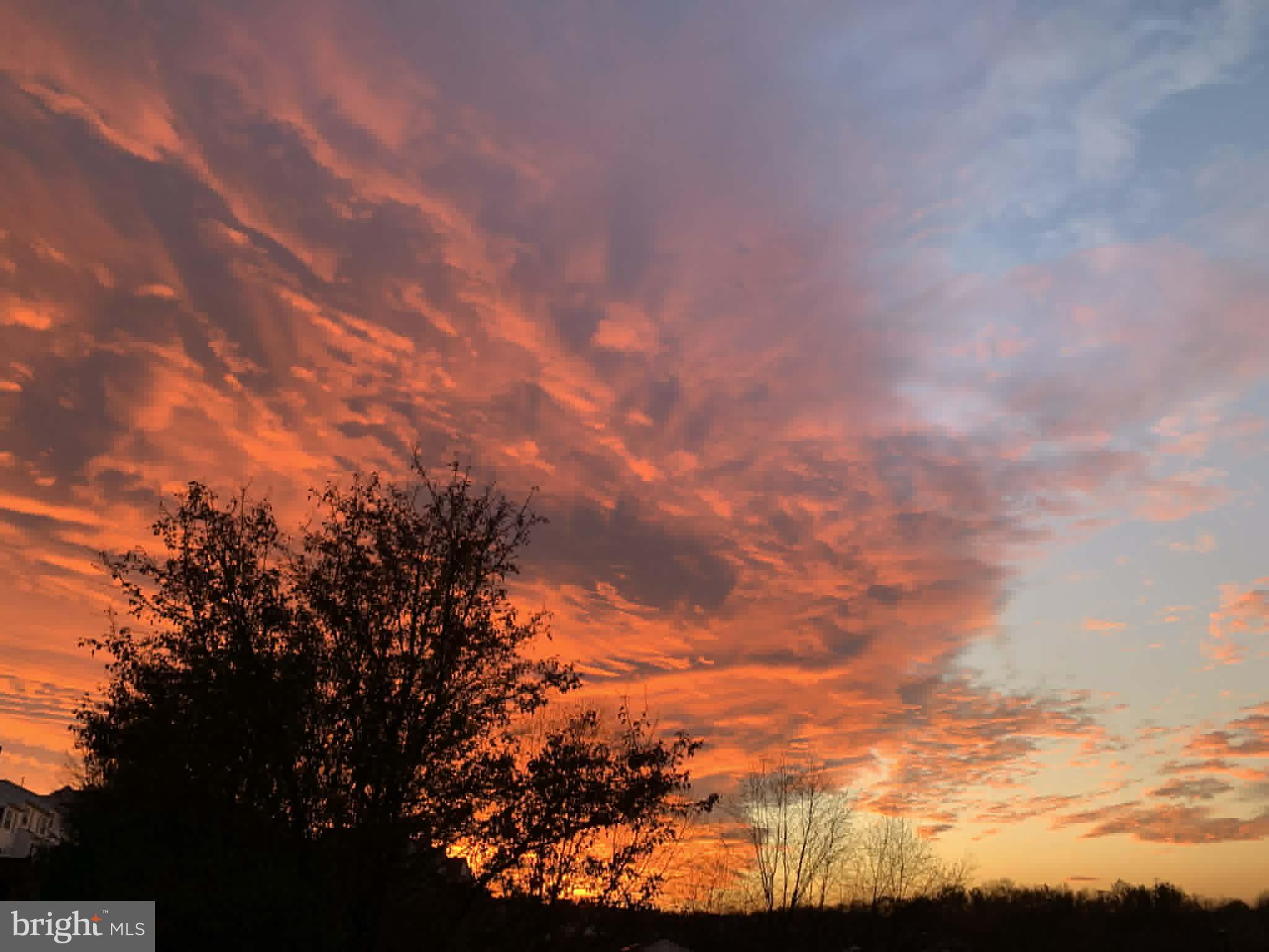 WHITELAND WOODS - Residential