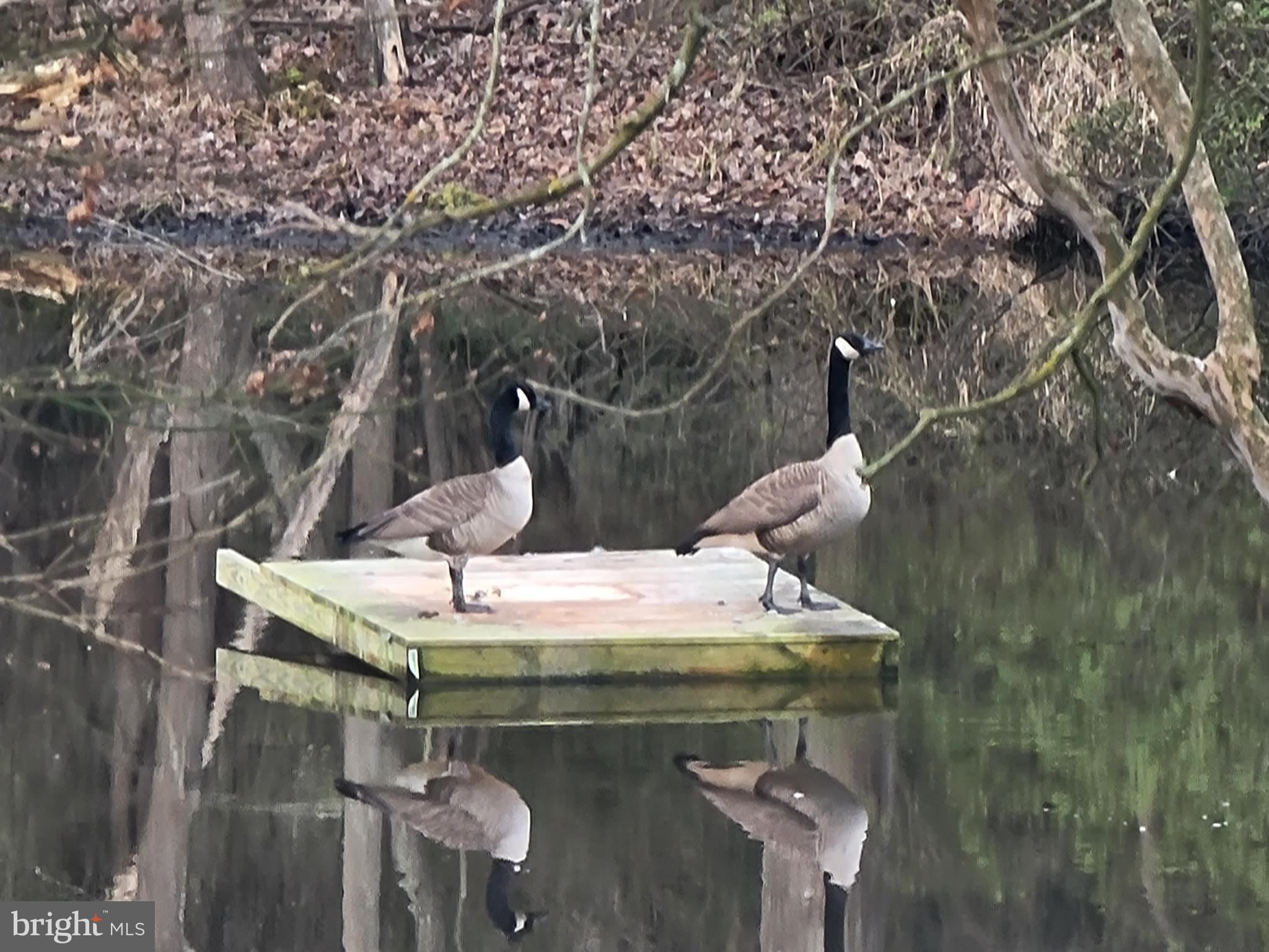 TRAVELERS REST - Residential