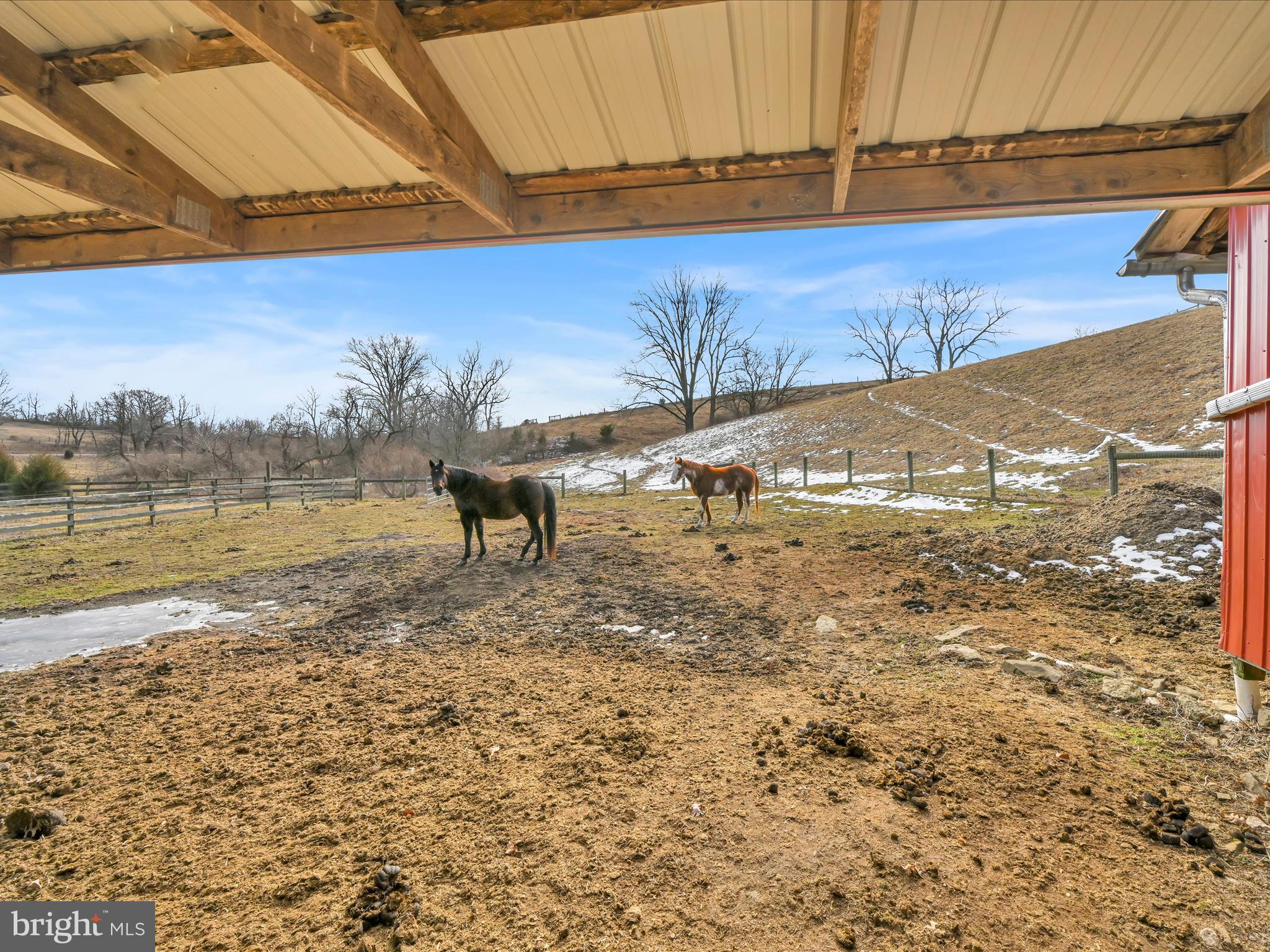 NONE AVAILABLE - Farm