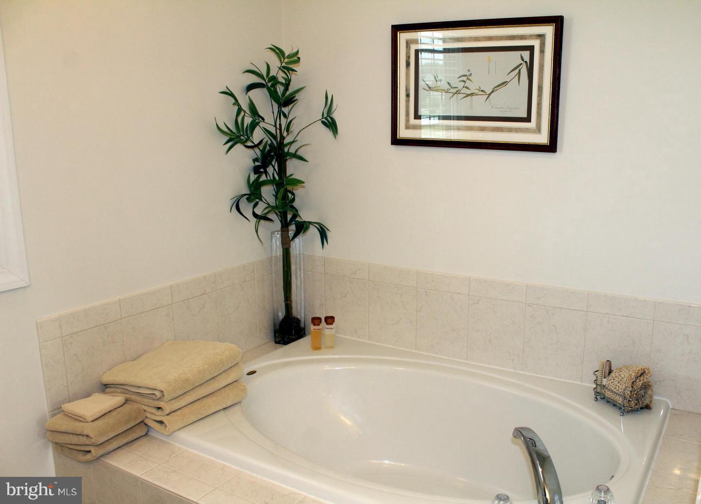 THE PRESERVE AT WYE MILLS - Residential Lease