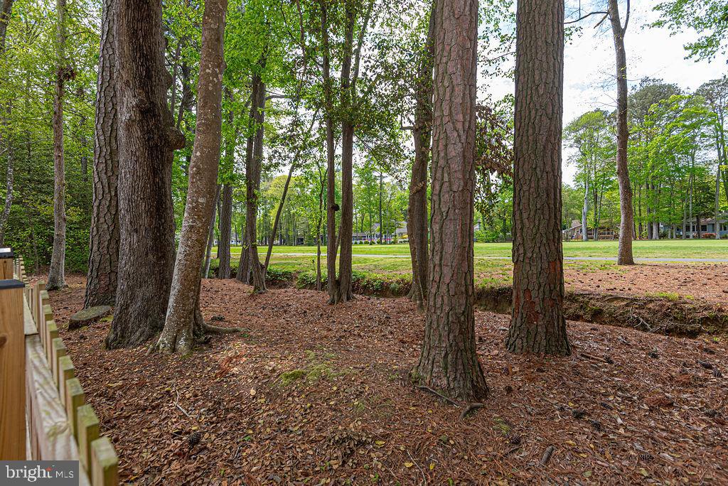 OCEAN PINES - NEWPORT - Residential