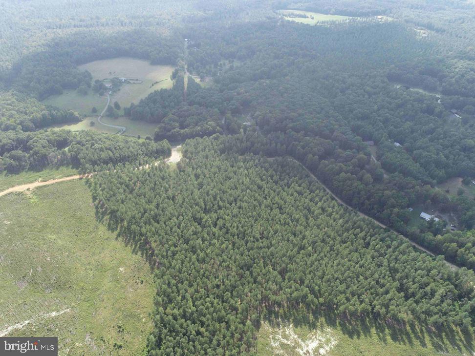 HOLLAND ROAD (TRACT: JR BEDFORD-BOWLES_SIMS-4)