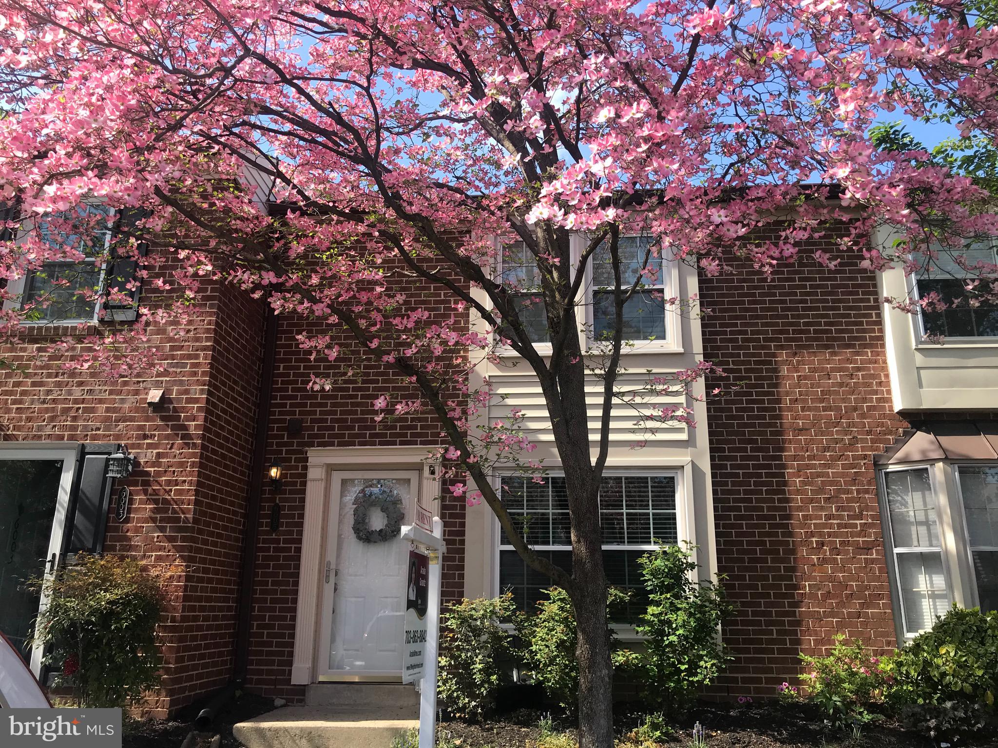 JEFFERSON GREEN - Residential Lease