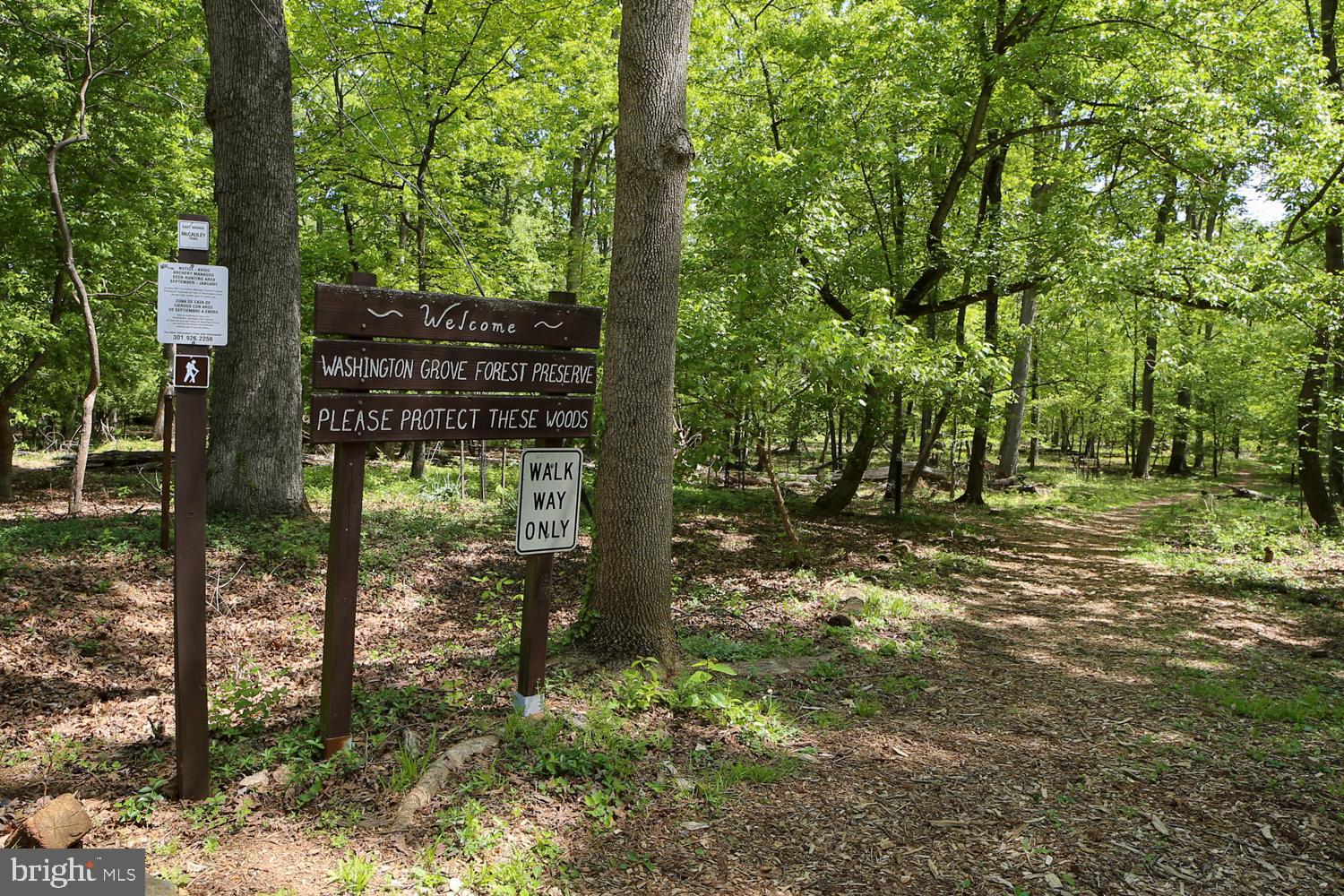 WASHINGTON GROVE - Residential