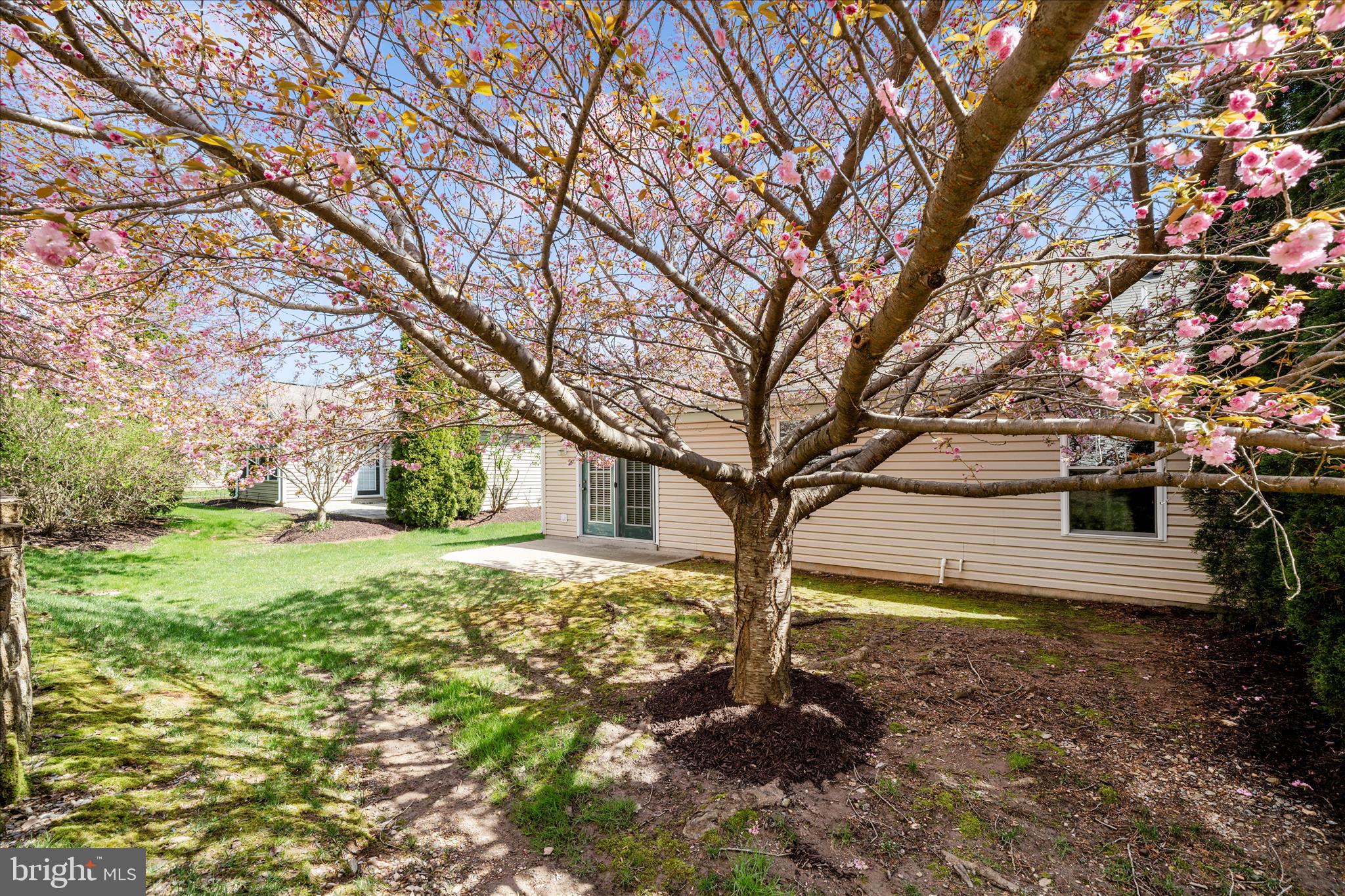 WILDWOOD PARK - Residential