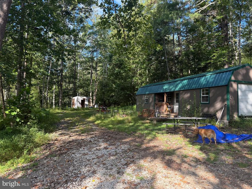 The Cox Branch tract is 13 acres just off route 60 outside the town of Amherst. Property has a small tiny home, a couple sheds, a very nice creek and some cleared to semi cleared areas. Would make a nice camping spot or hunting, recreational etc.