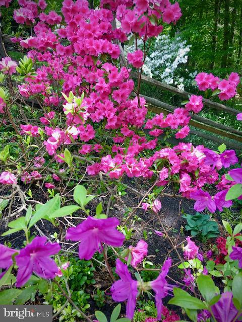 RIVER FALLS - Residential