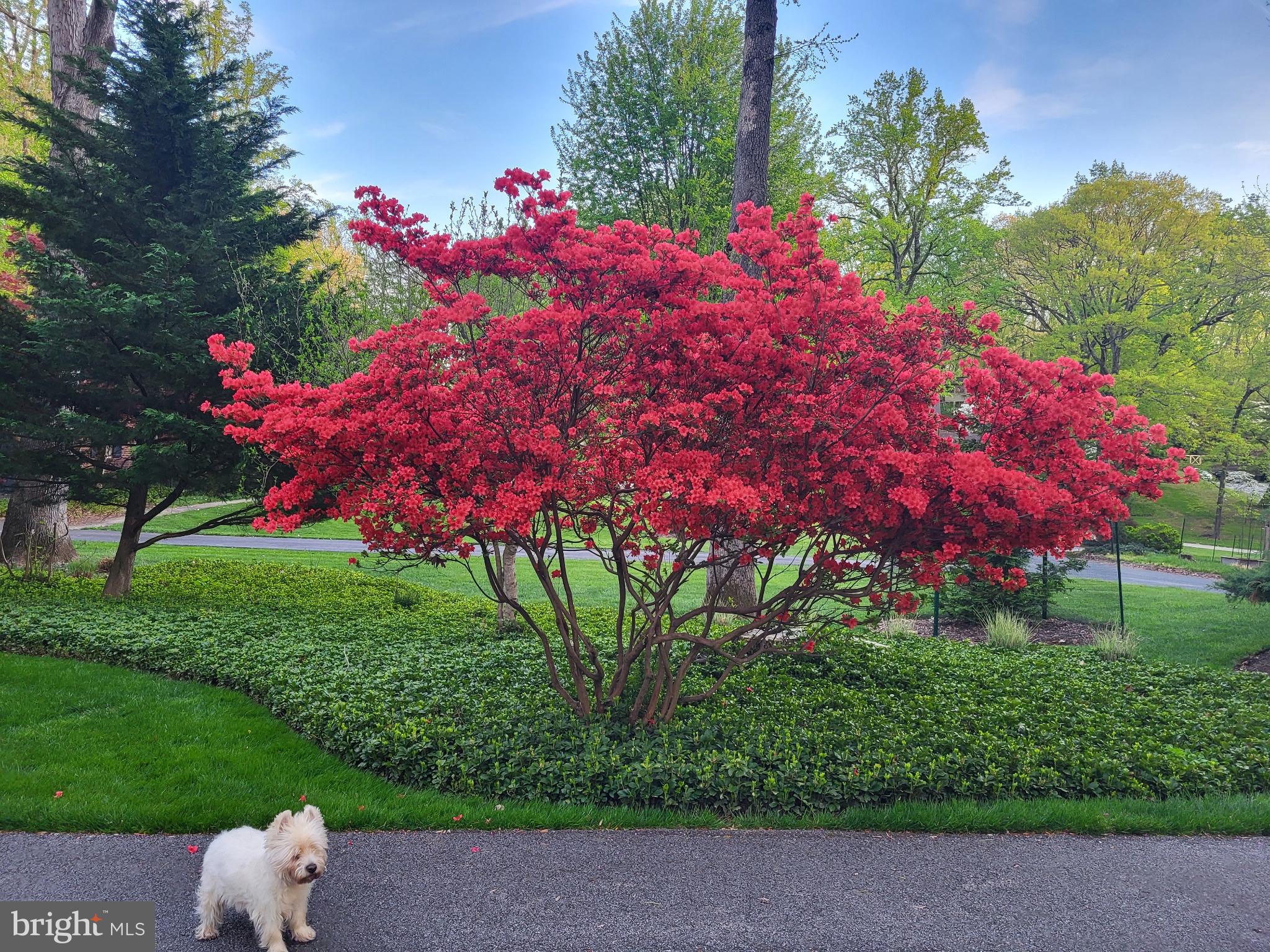 HAMPTON - Residential