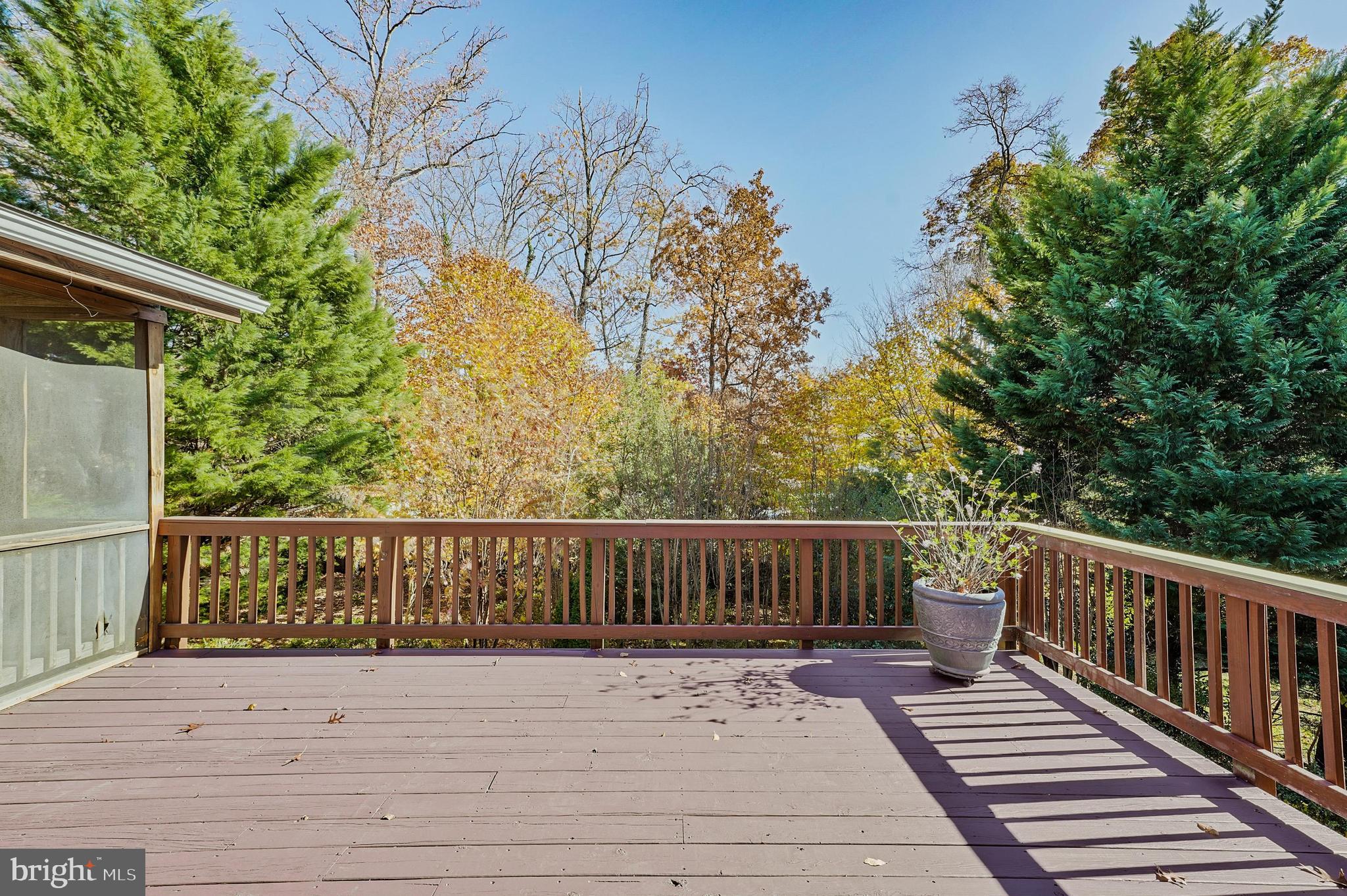 RUTHERFORD - Residential Lease