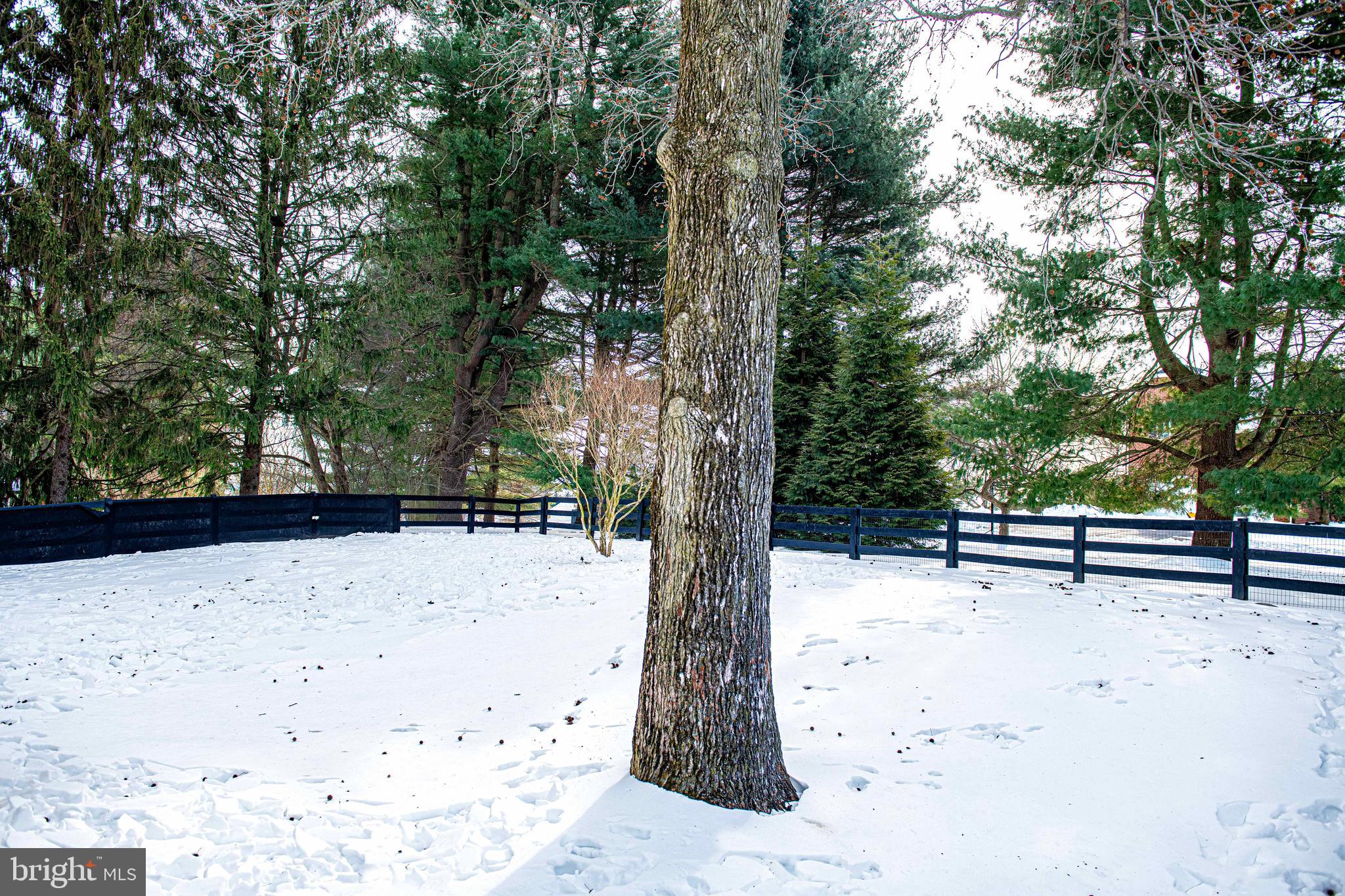 FOREST LAKES - Residential