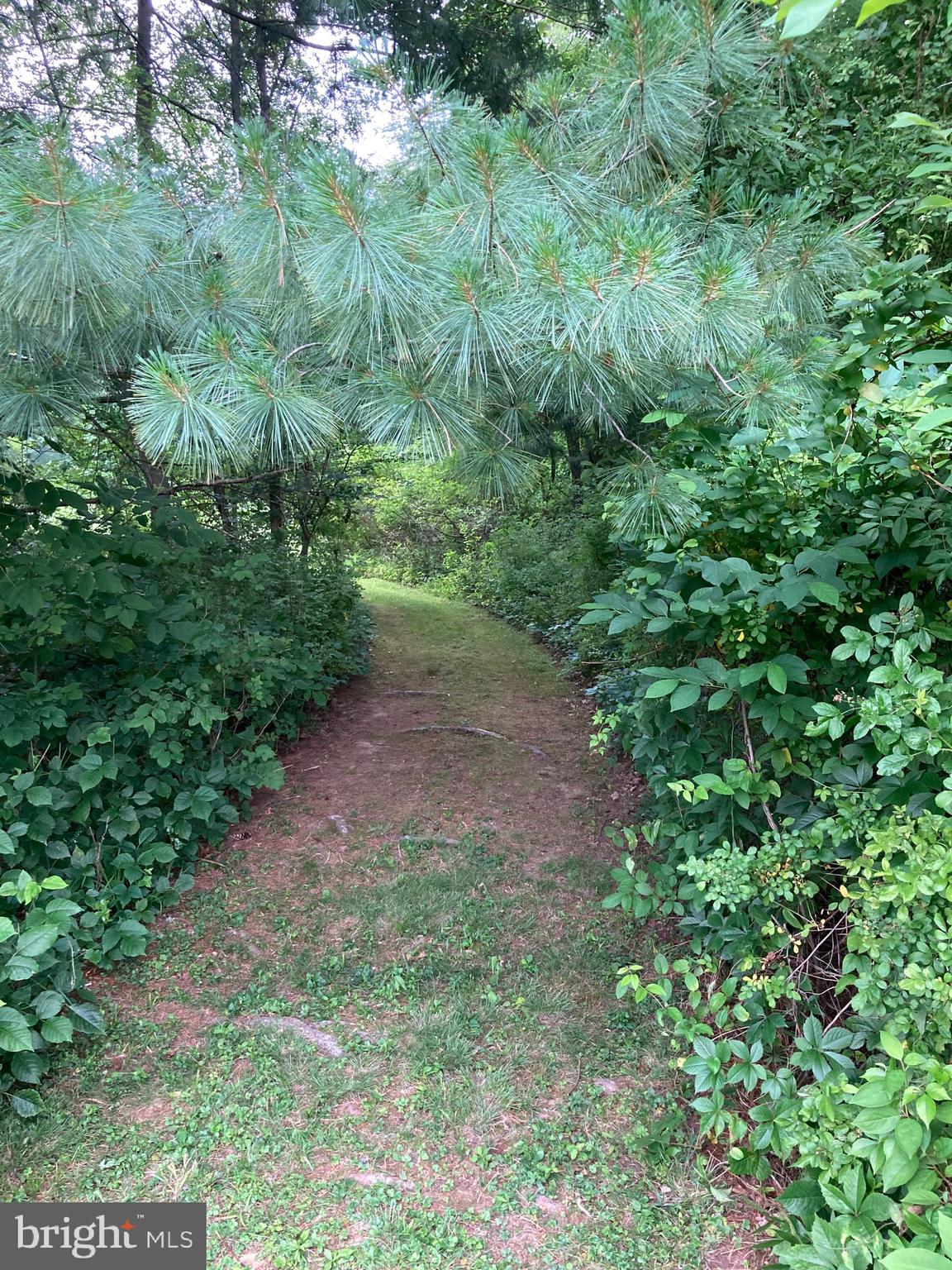 NEW GALENA - Residential