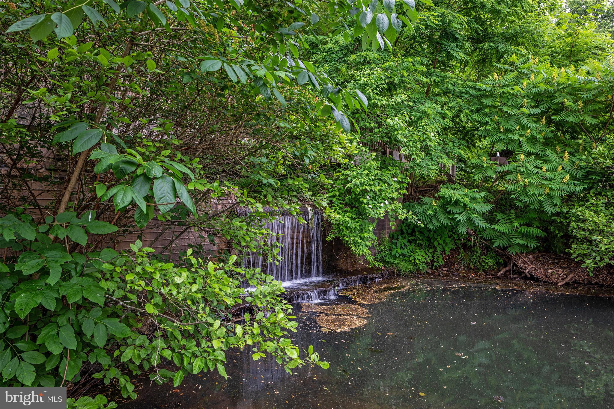 THE WOODS - Residential