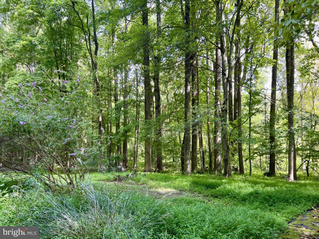 WOODWIND ESTATES - Residential