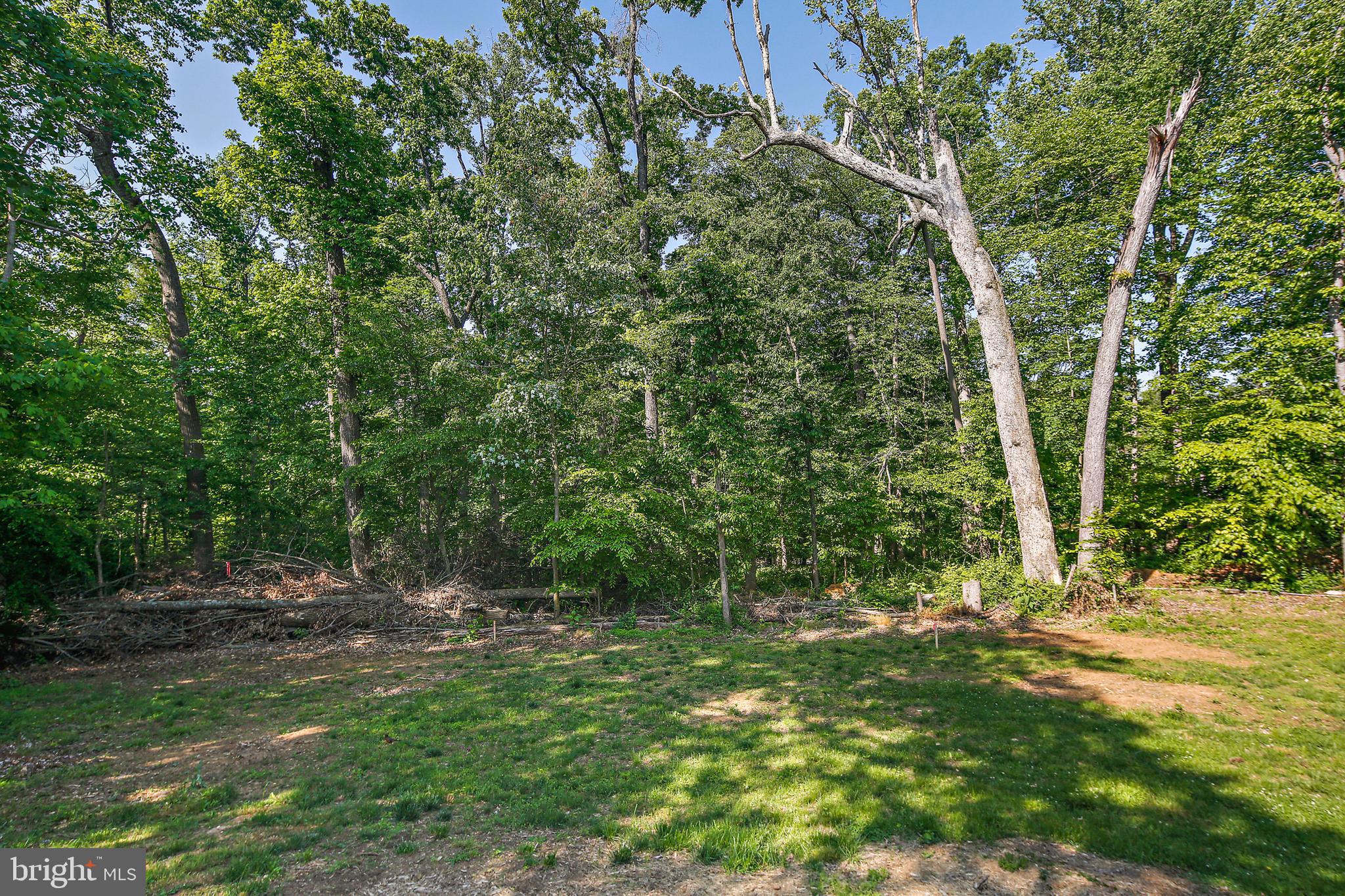 HAMPTON RIDGE - Residential