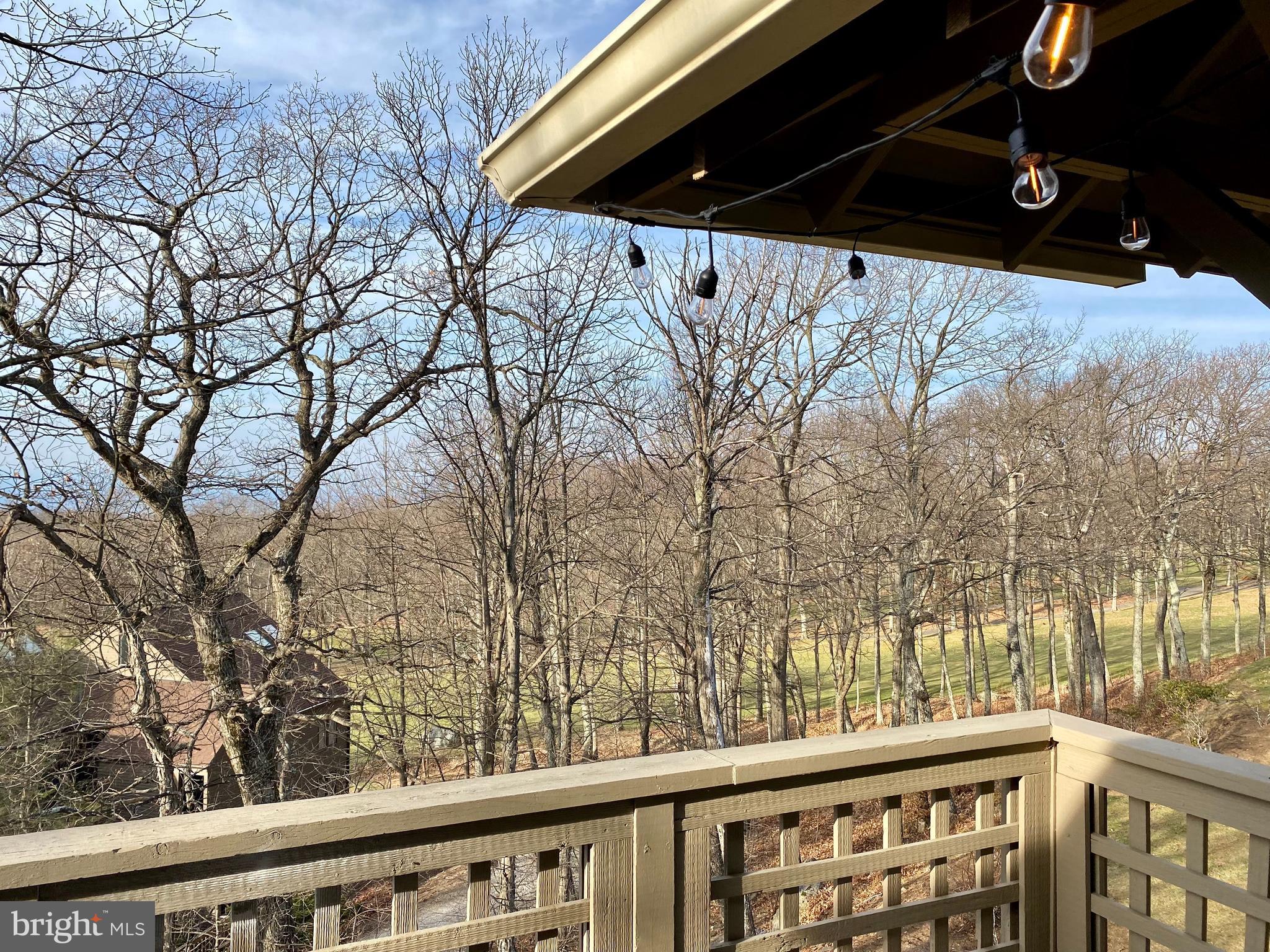 WINTERGREEN MOUNTAIN VILLAGE - Residential