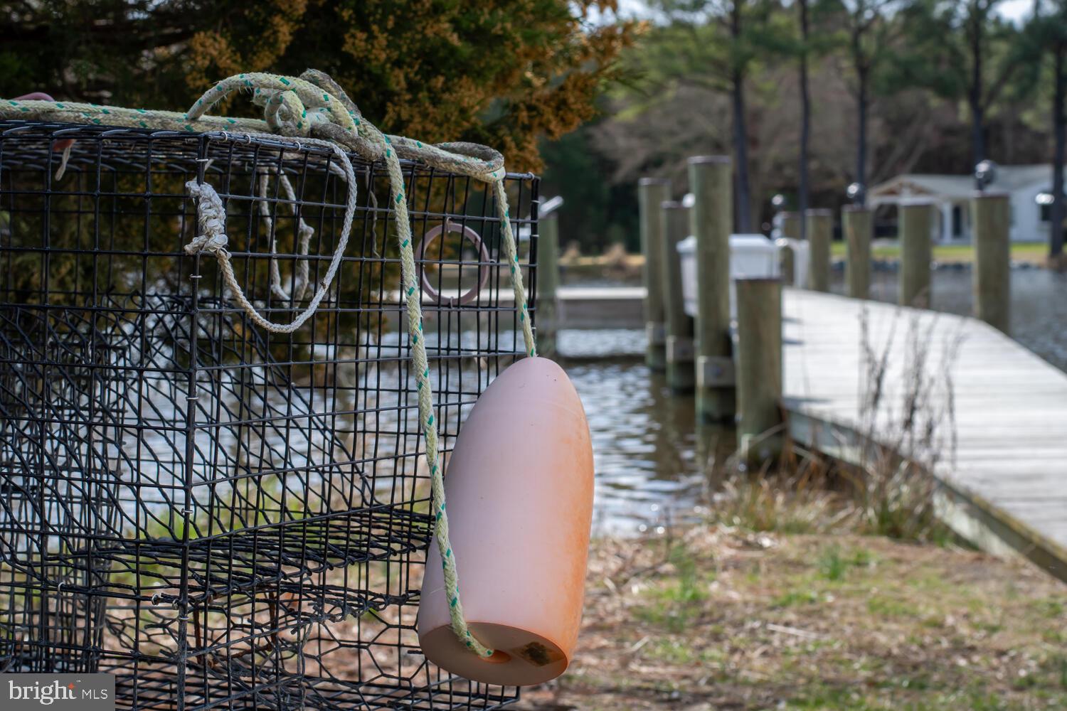 ROYAL OAK - Residential