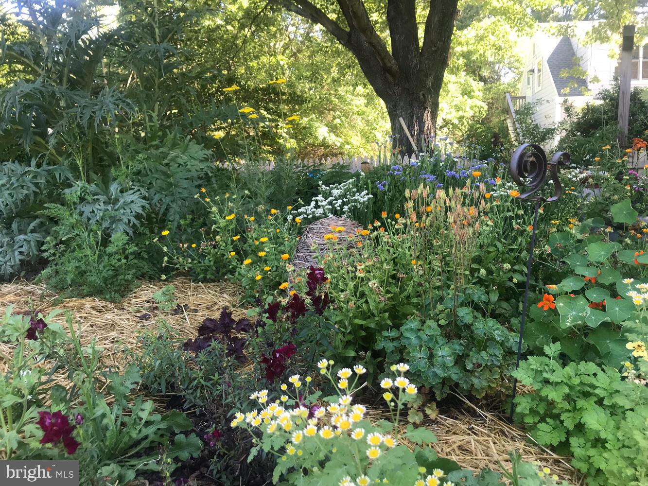 ROYAL OAK - Residential