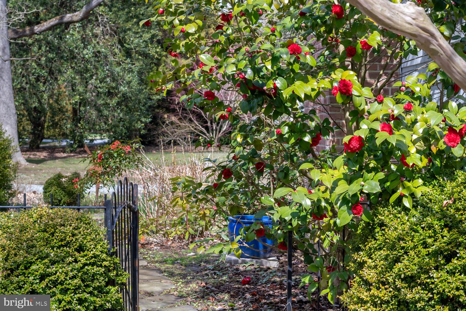 ROYAL OAK - Residential