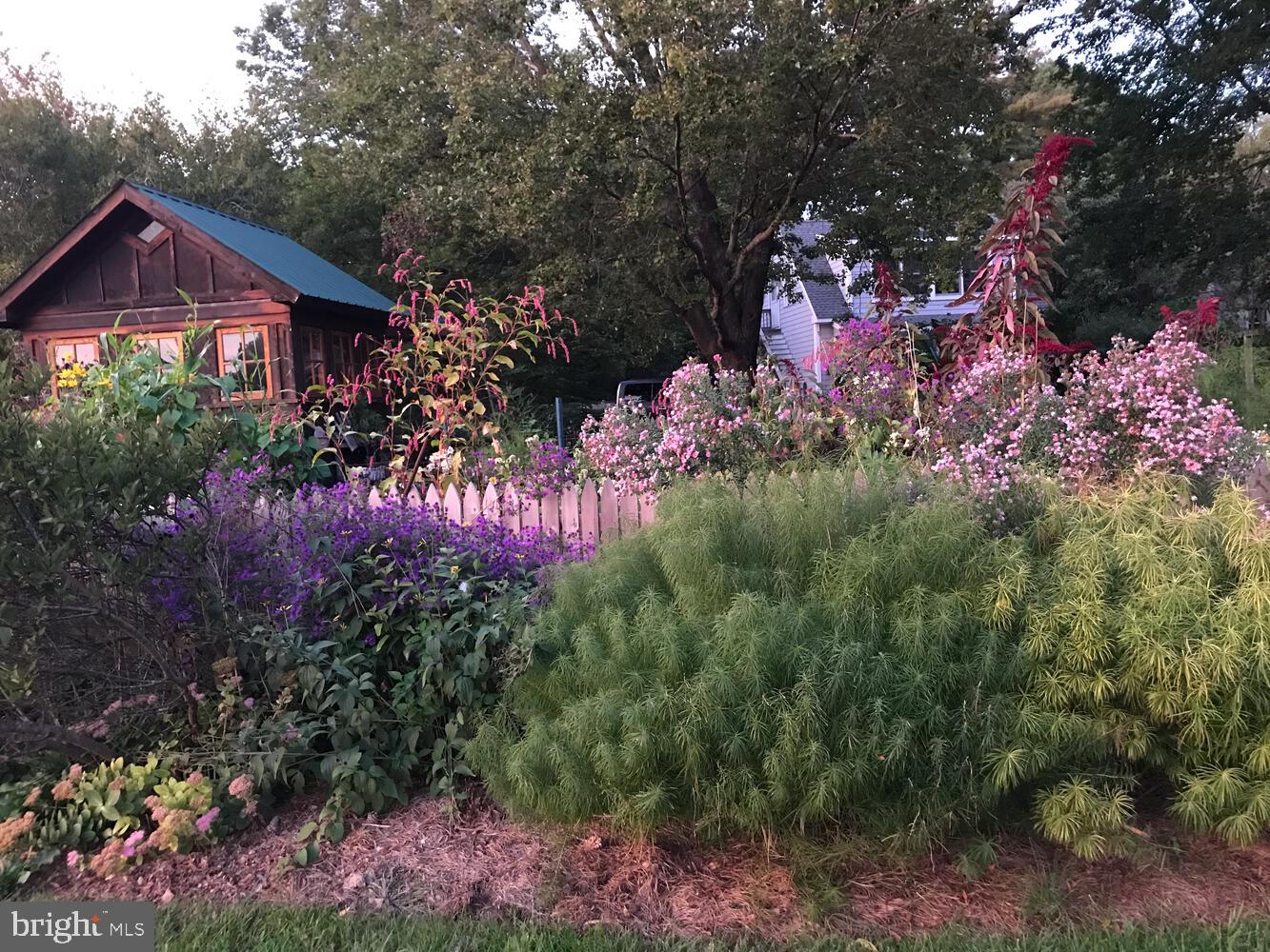 ROYAL OAK - Residential