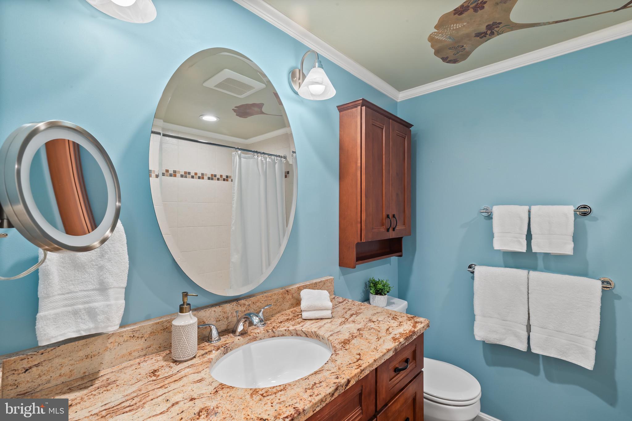 ELLICOTT HILLS - Residential