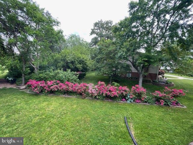 CHELMSFORD - Residential