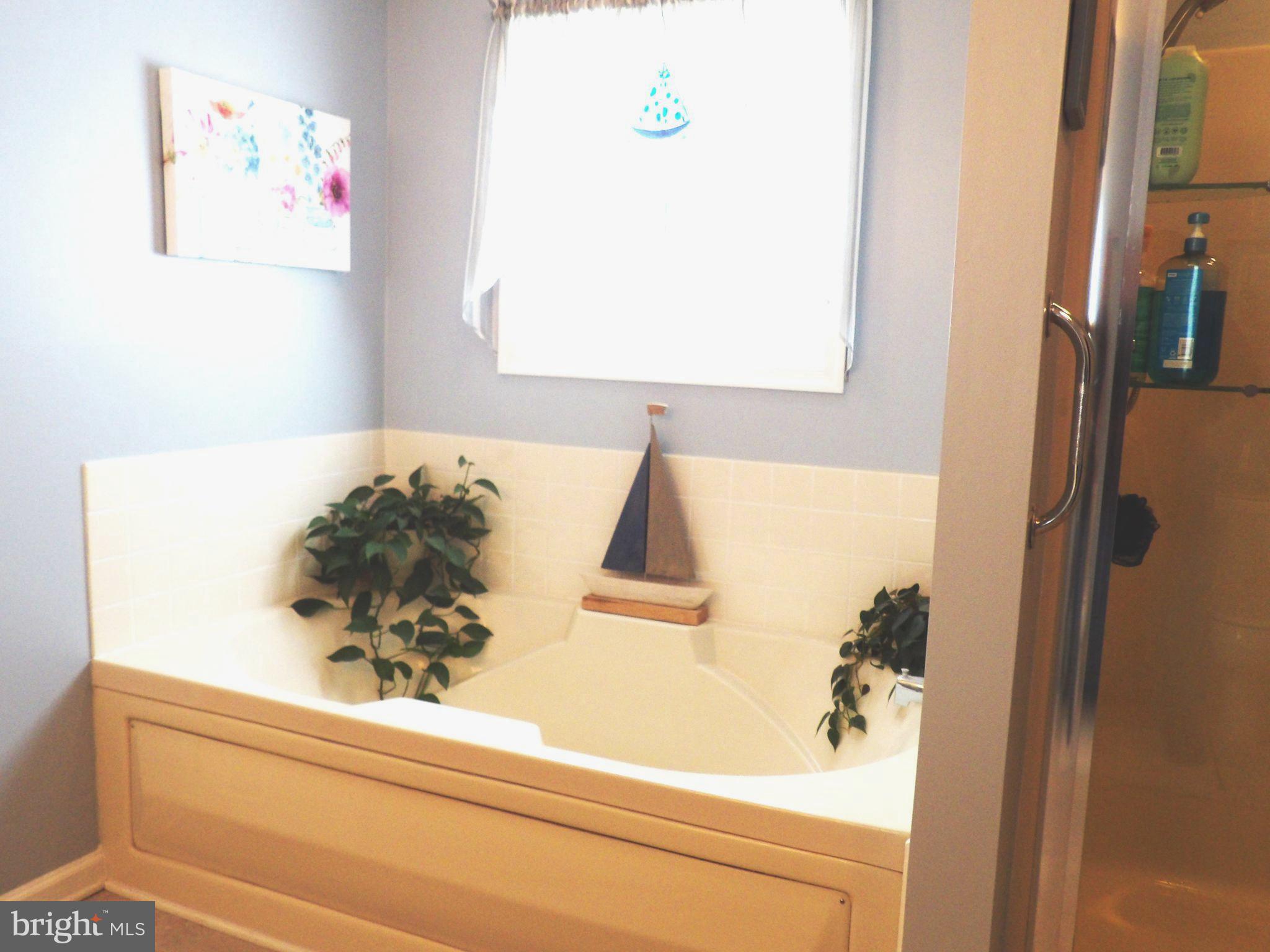 LAUREL RIDGE - Residential