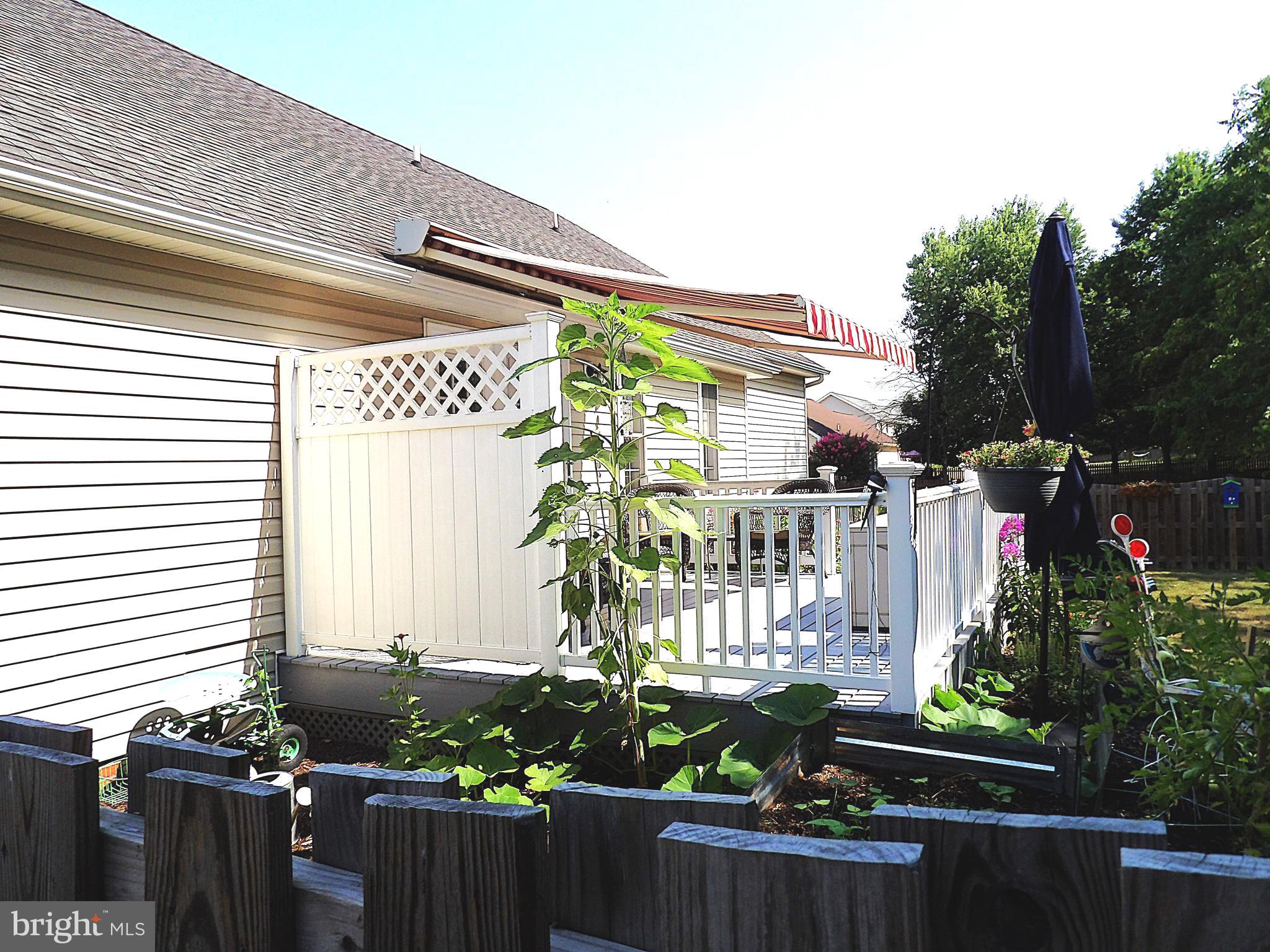 LAUREL RIDGE - Residential