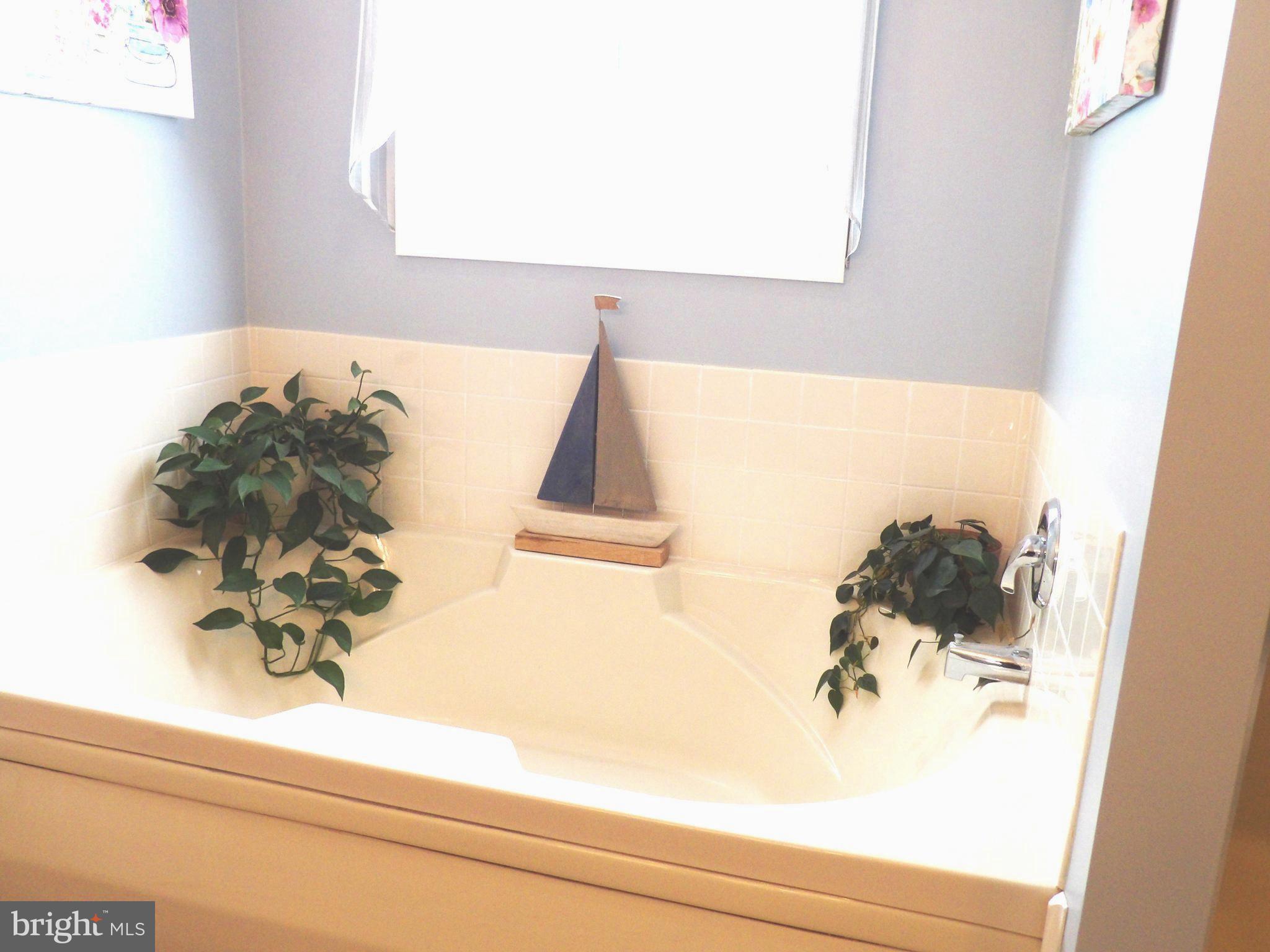 LAUREL RIDGE - Residential