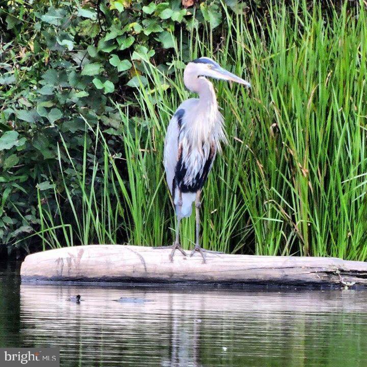 KINGS PARK WEST - Residential
