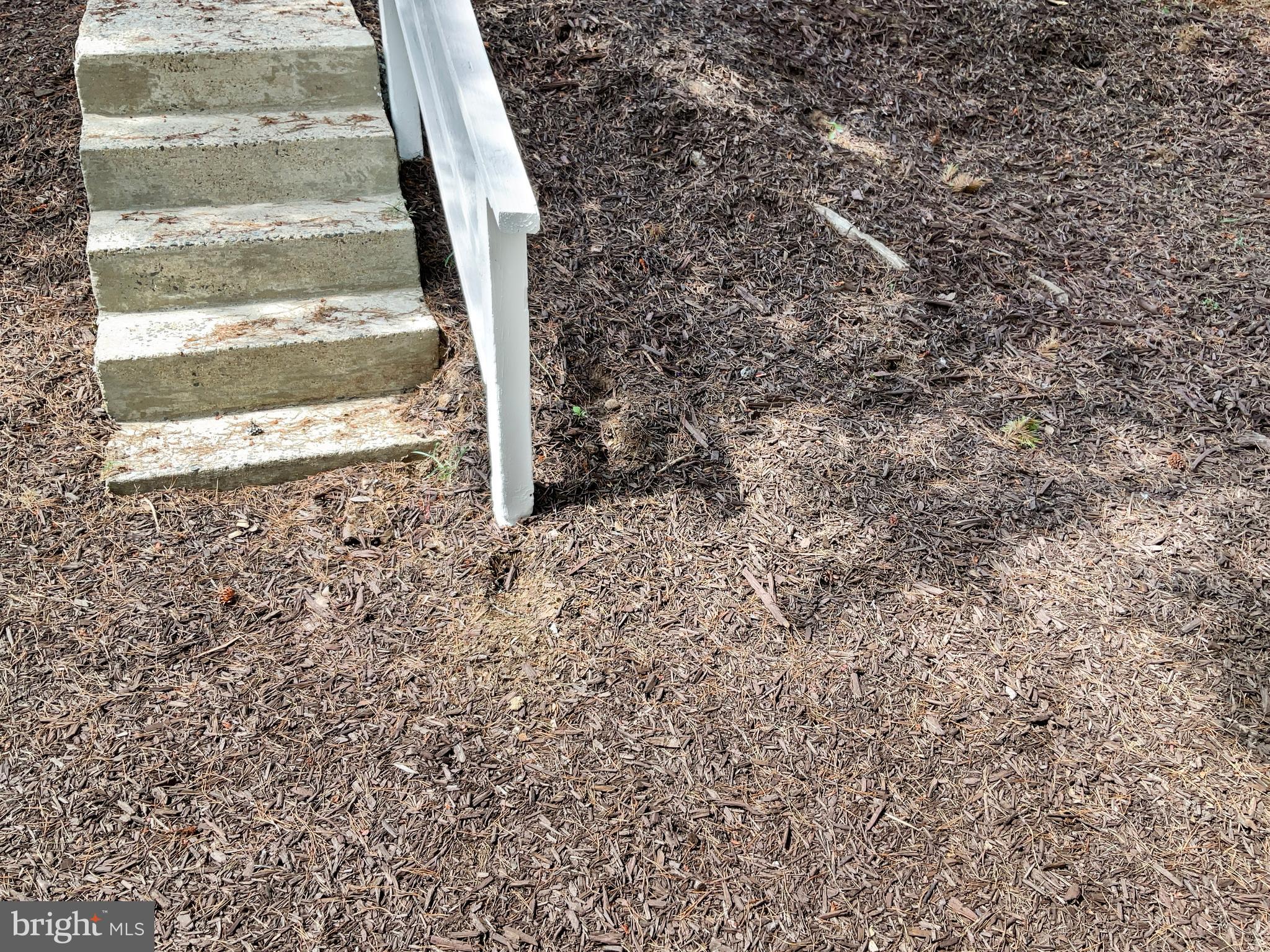 STAFFORD OAKS - Residential