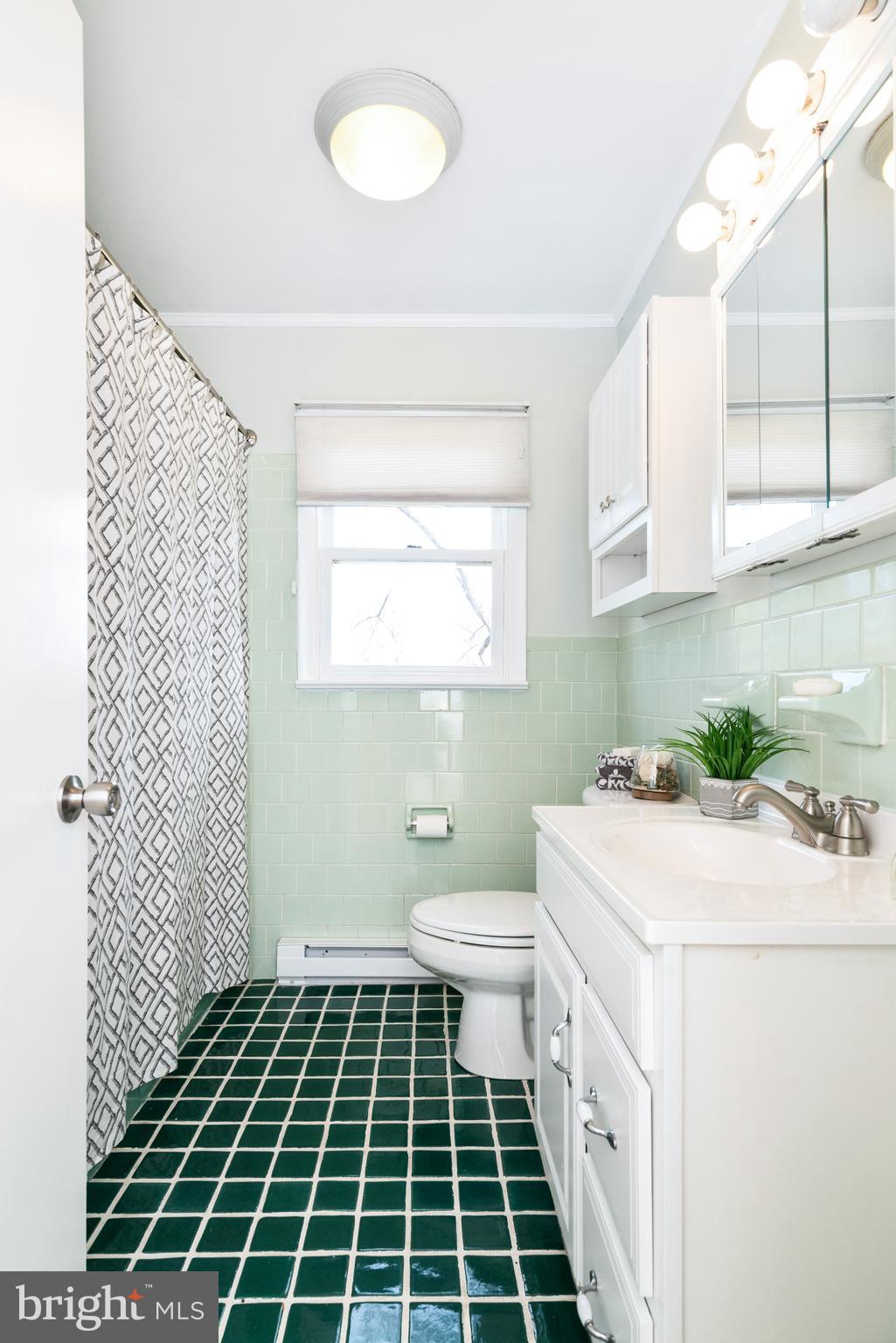 STEAMBOAT RUN - Residential