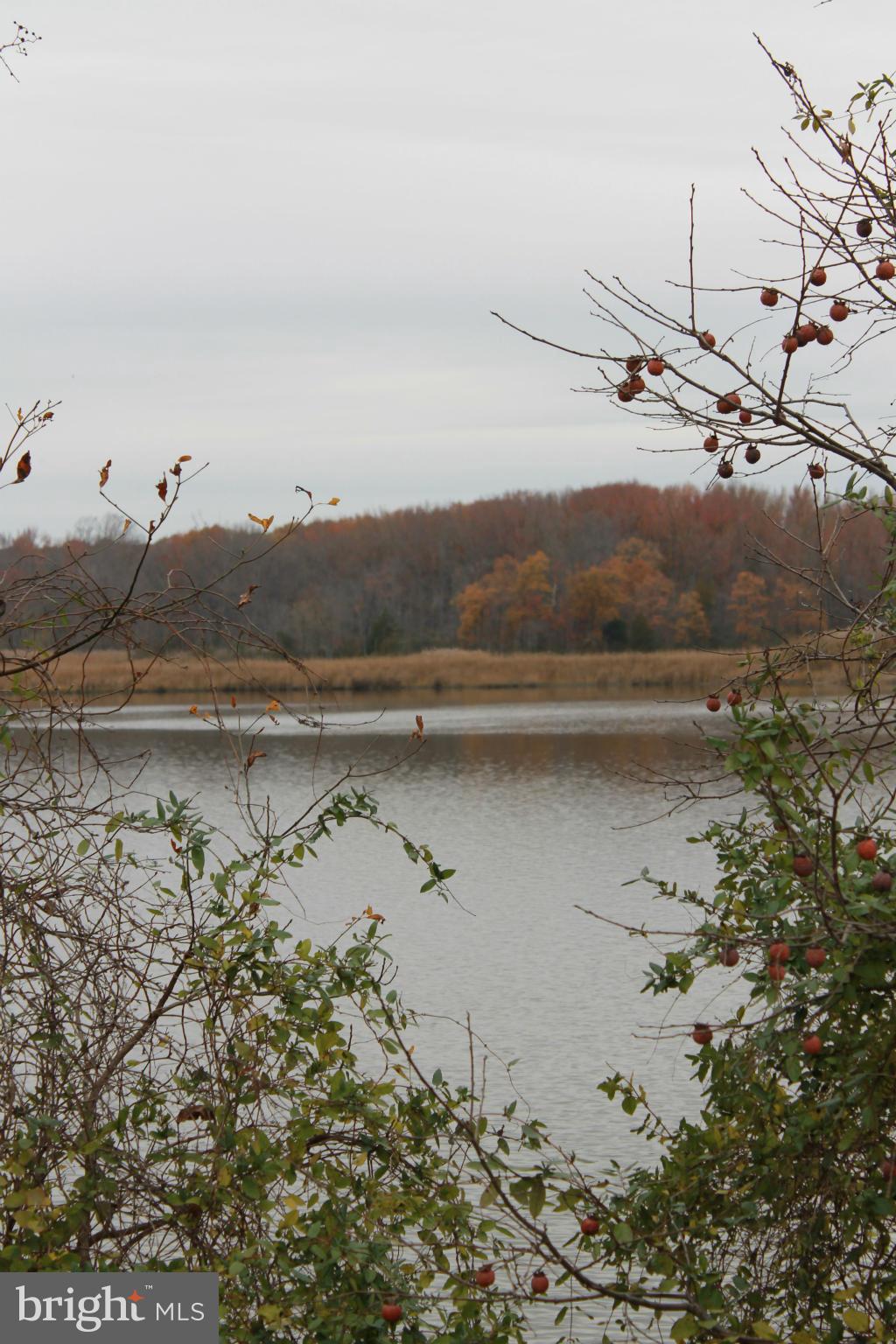 CHAR NOR MANOR - Residential