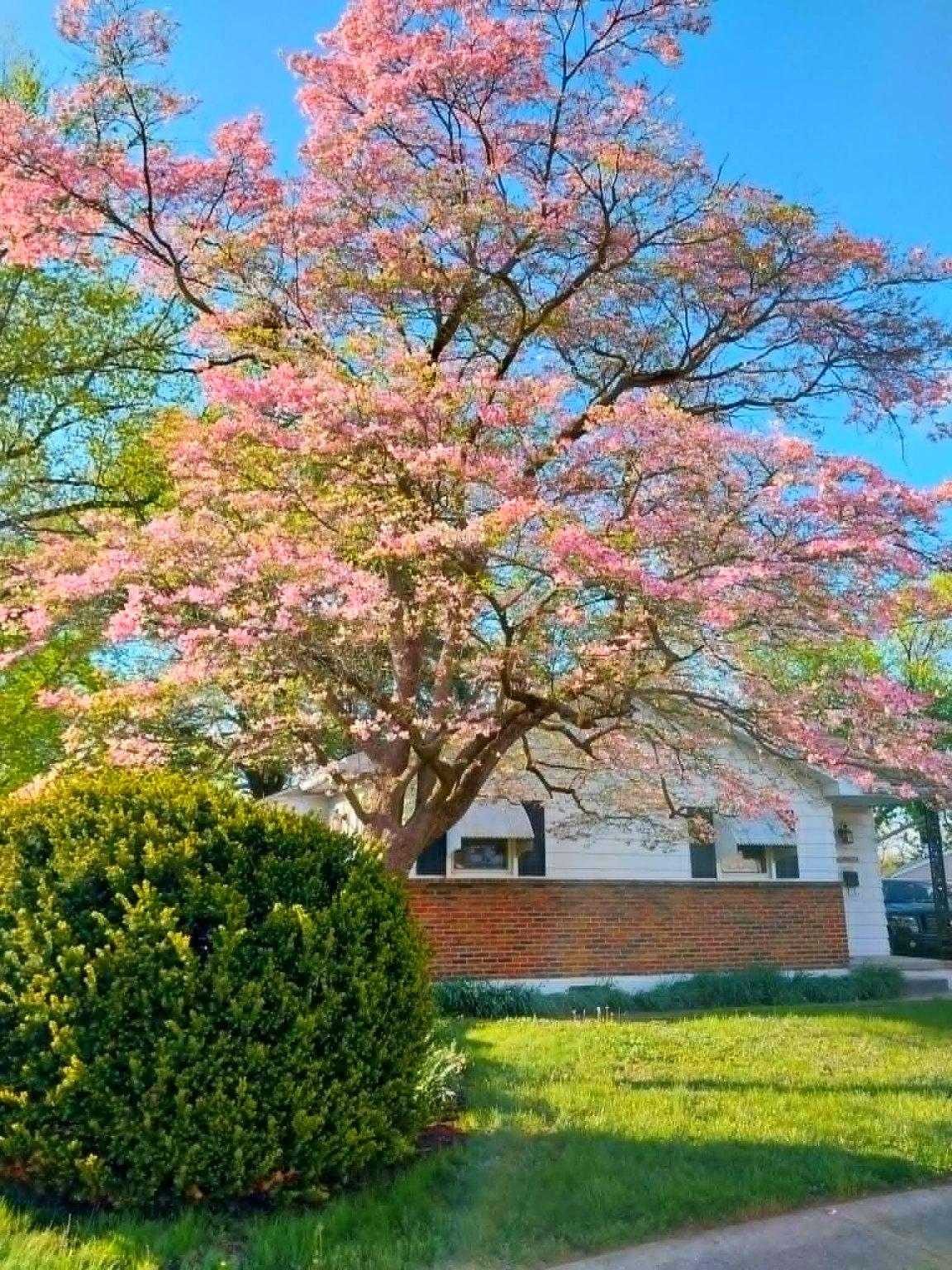 SWANWYCK GARDENS - Residential