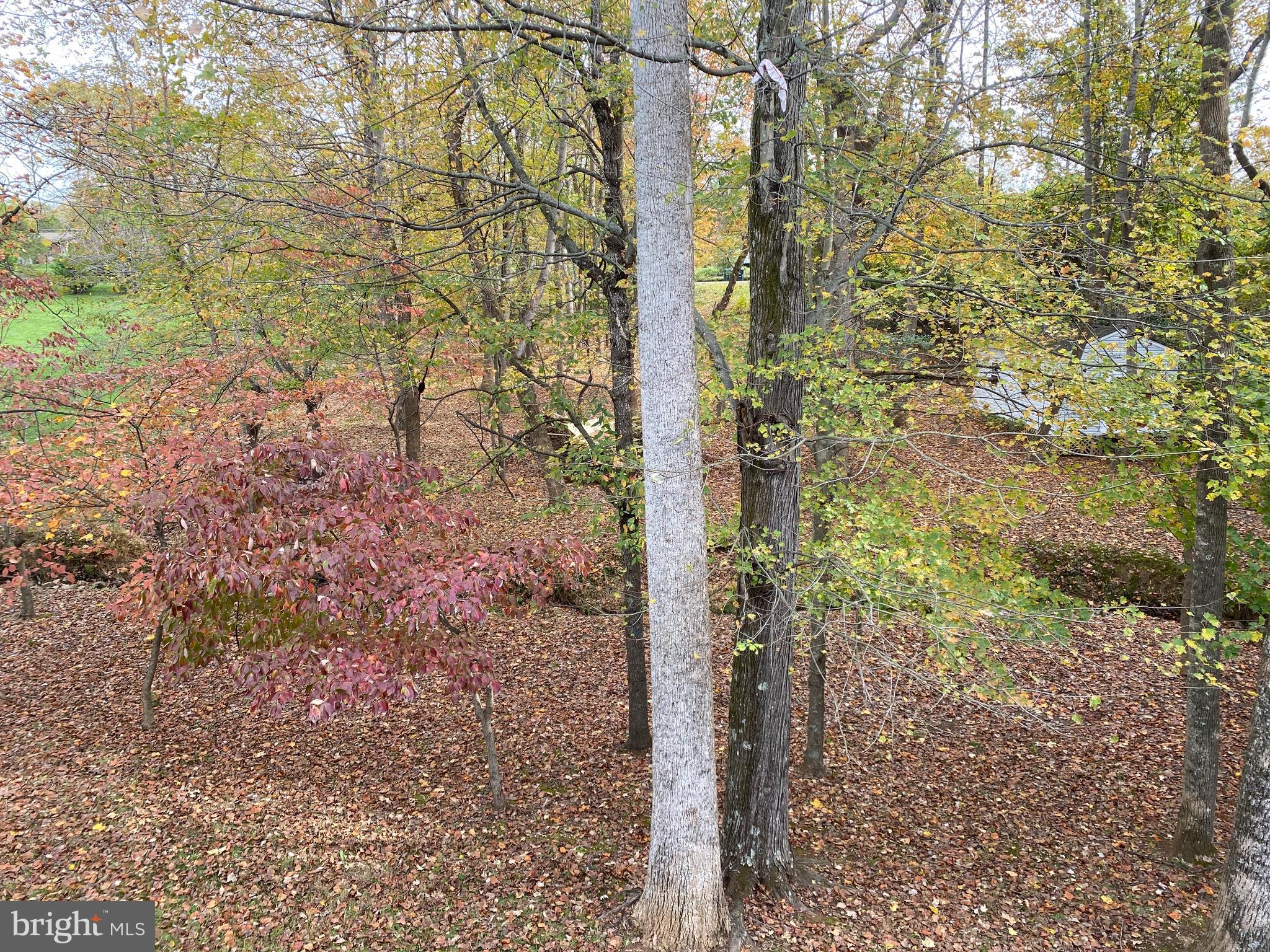 DEER VALLEY - Residential Lease