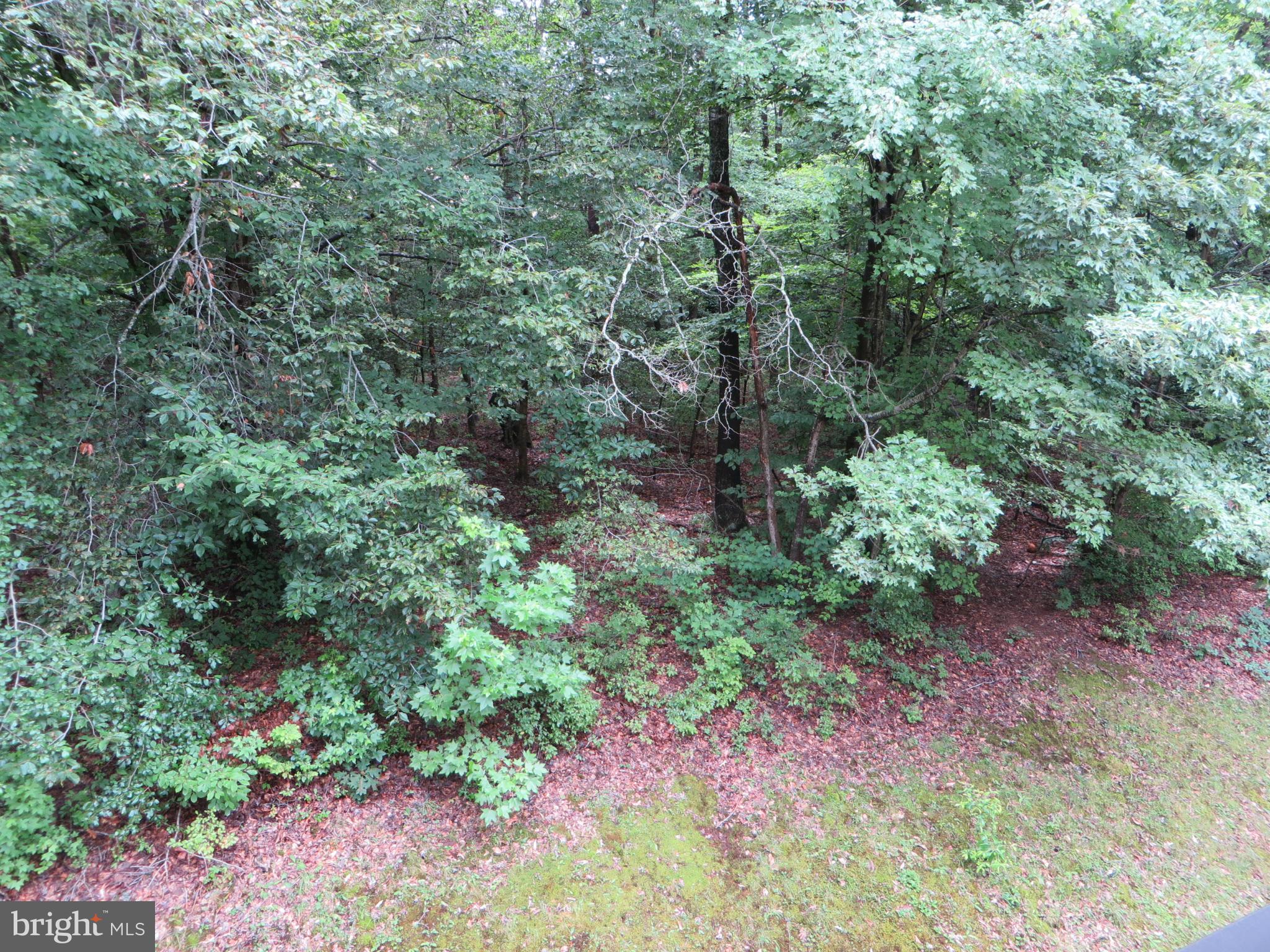 WHITE OAK - Residential