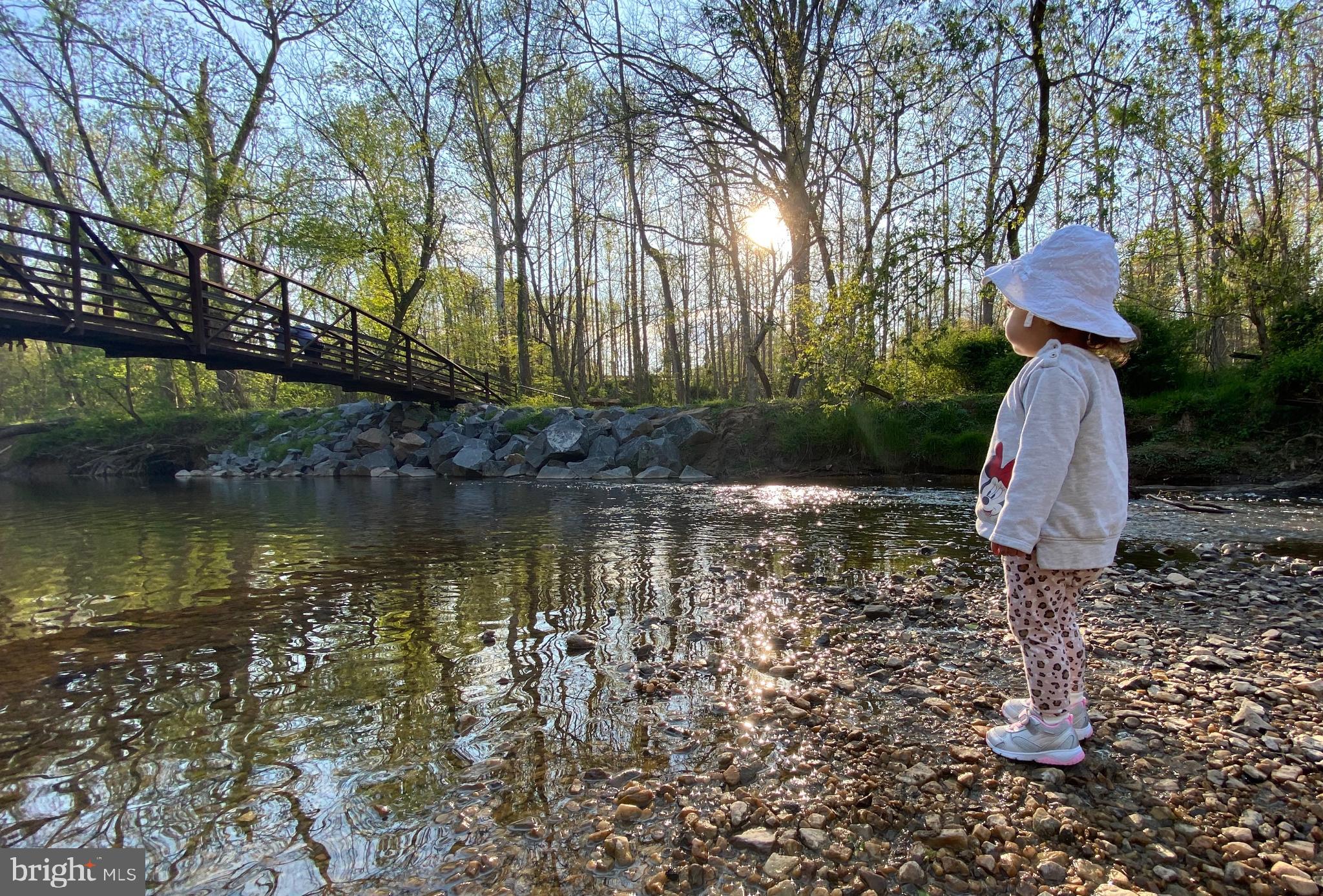 DANBURY FOREST - Residential
