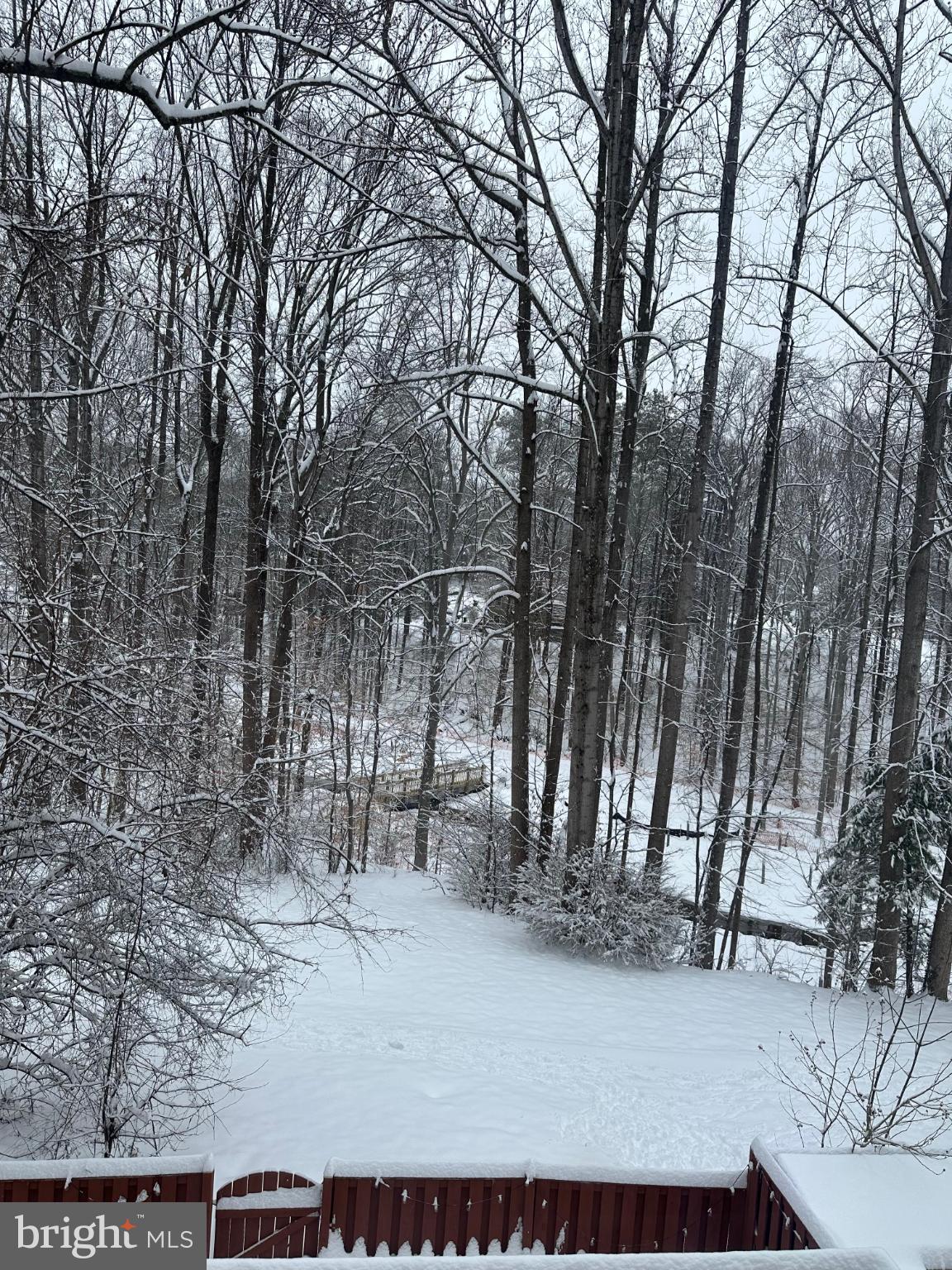 DANBURY FOREST - Residential